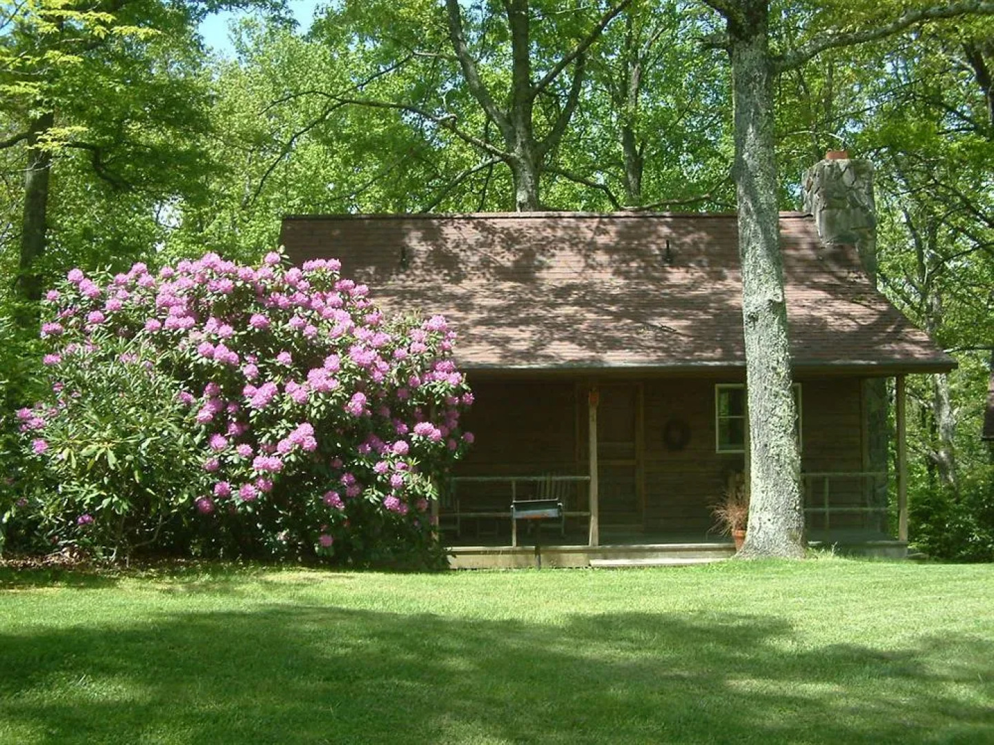 Fire Mountain Resort