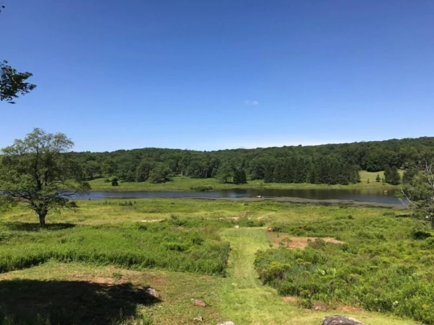 Lost Branch on the Lake