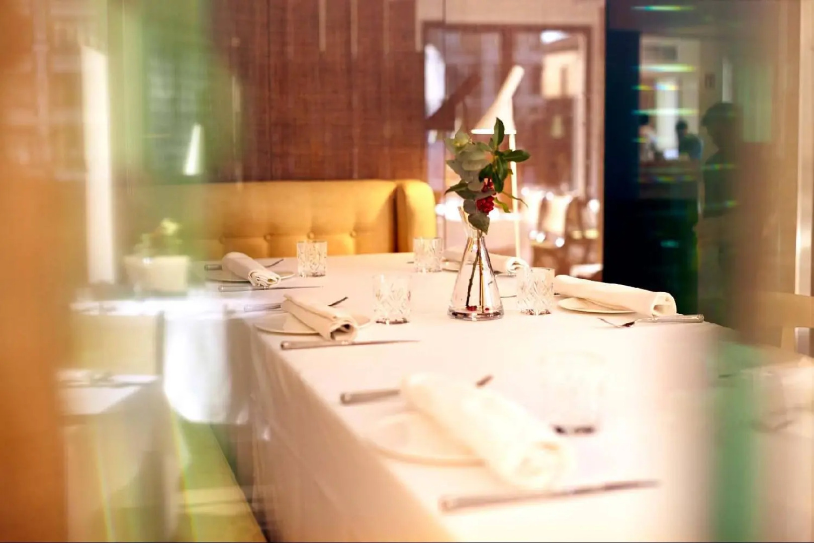 Occidental León Alfonso V