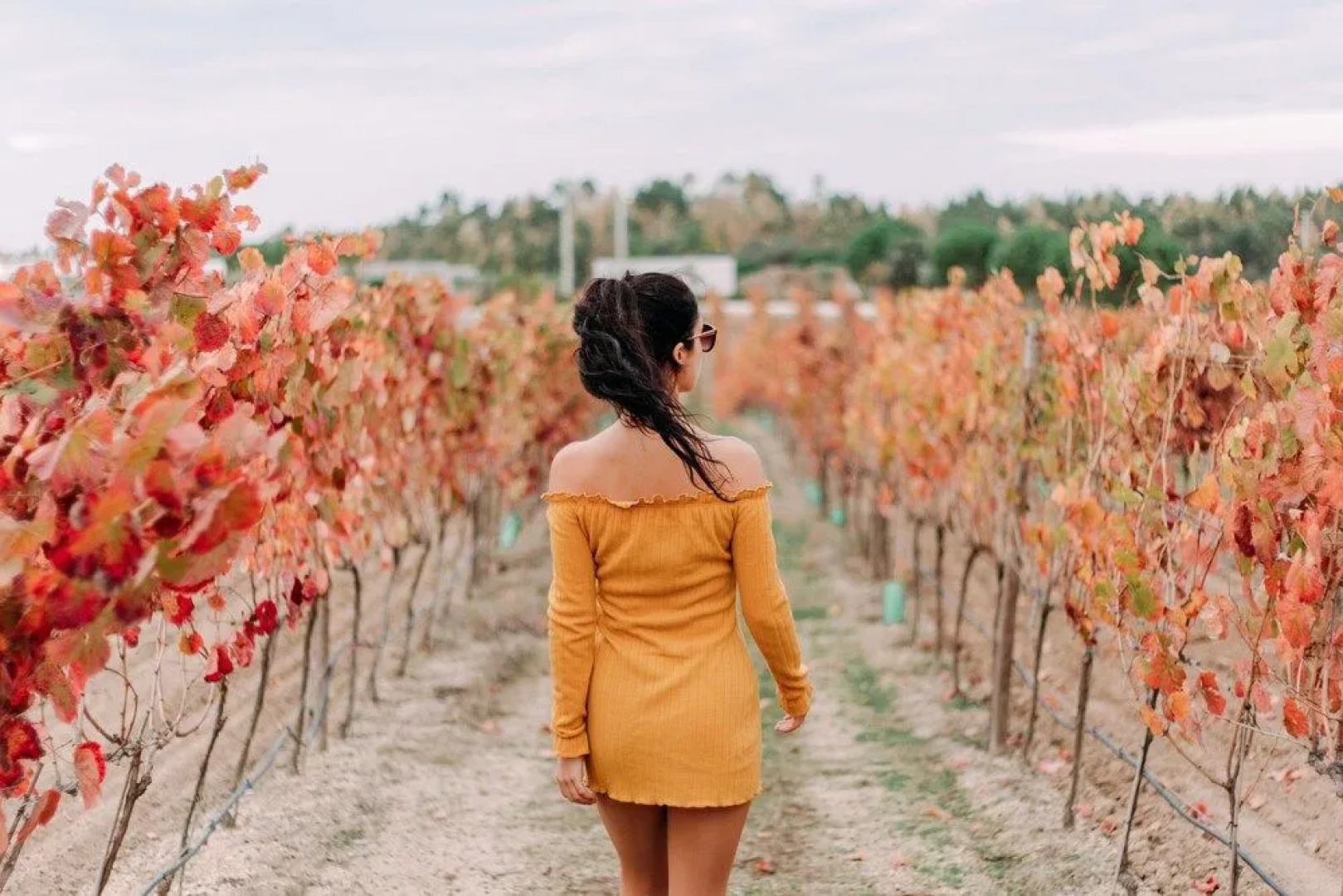 Herdade da Rocha Boutique Lodge