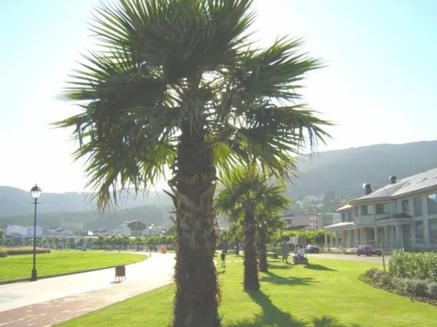 1ª LÍNEA DE PLAYA, VISTAS AL MAR Y MUY CÉNTRICO.