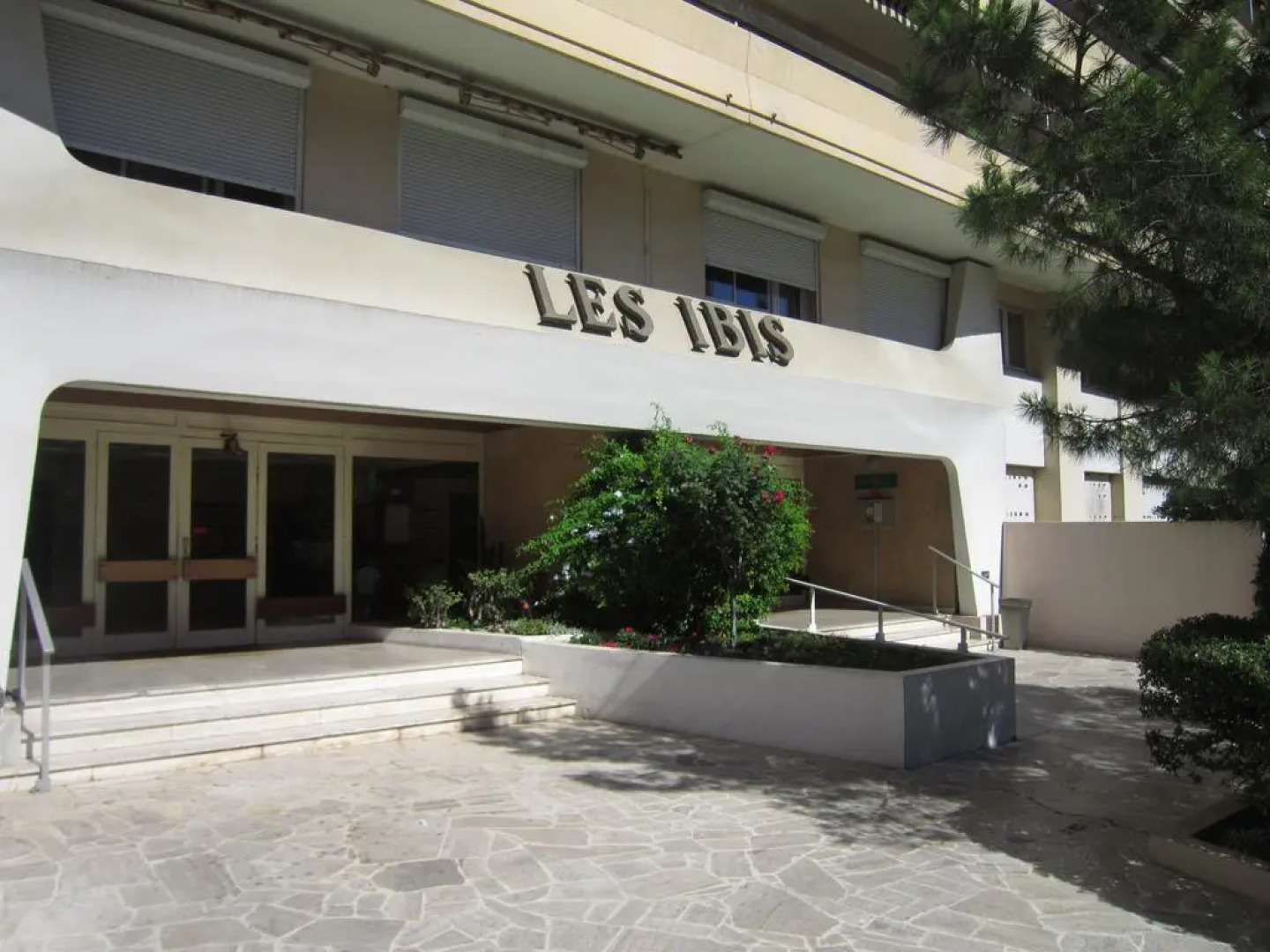 Les Ibis