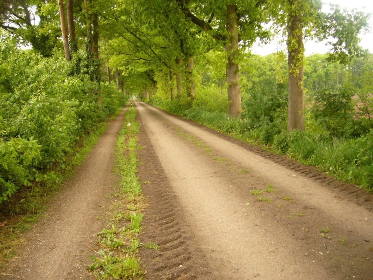 Splendid Holiday Home in Eibergen Guelders With Garden