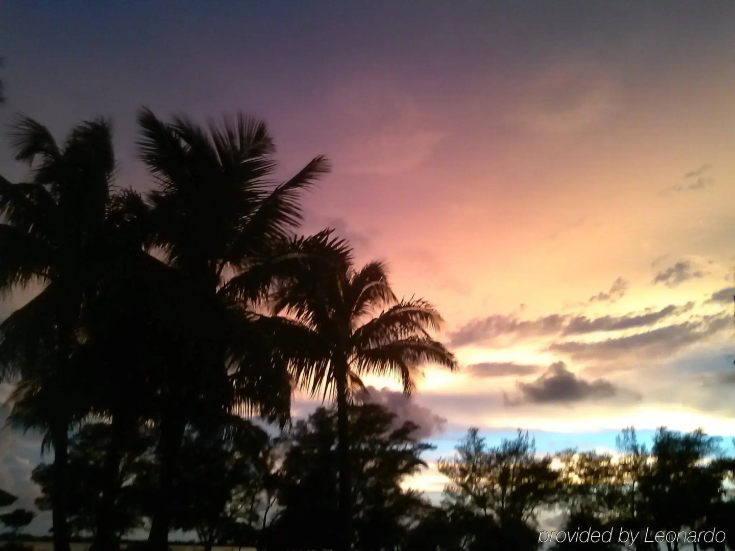Sanibel Siesta on the Beach