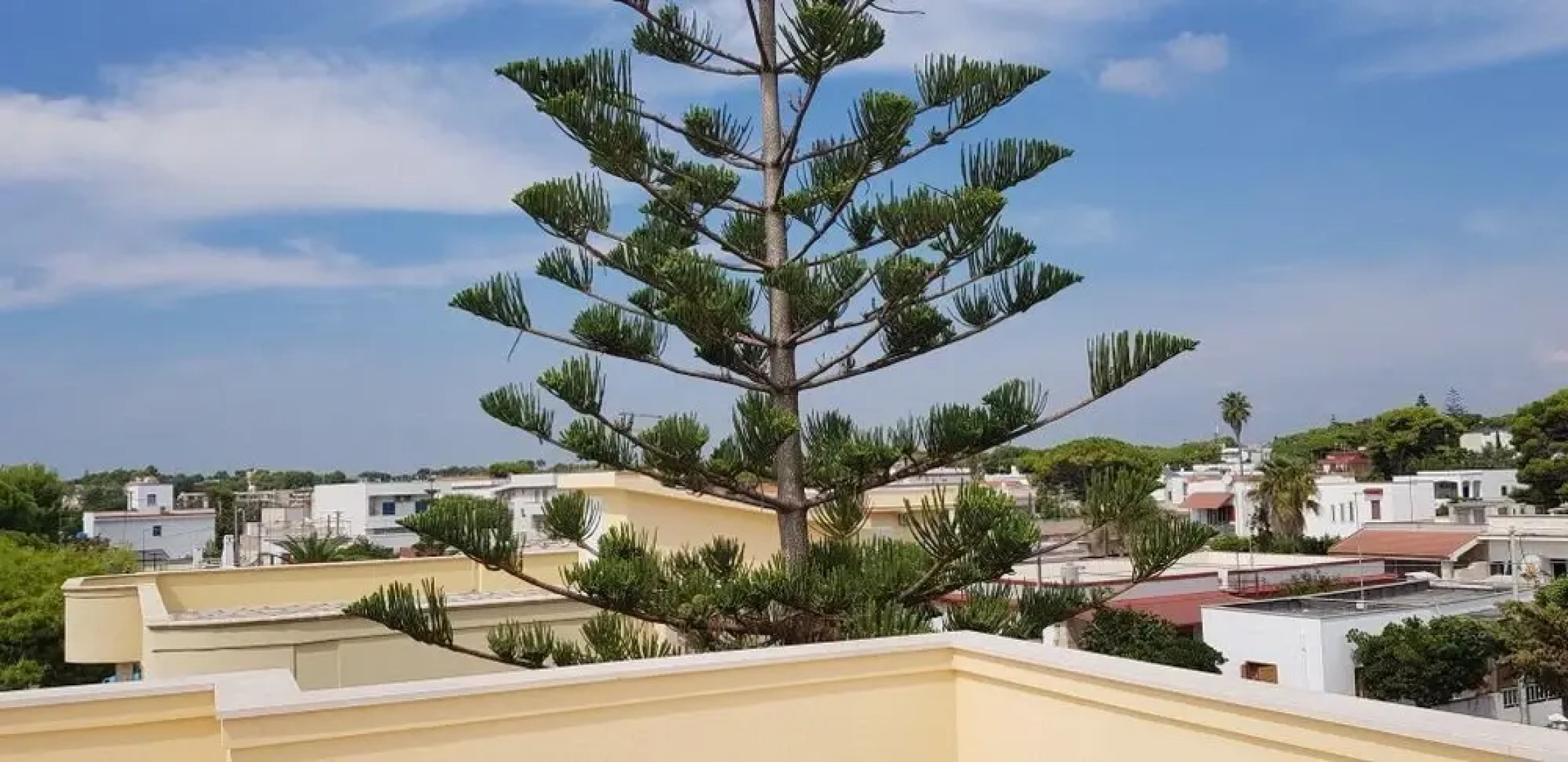 Montedarena Apartment