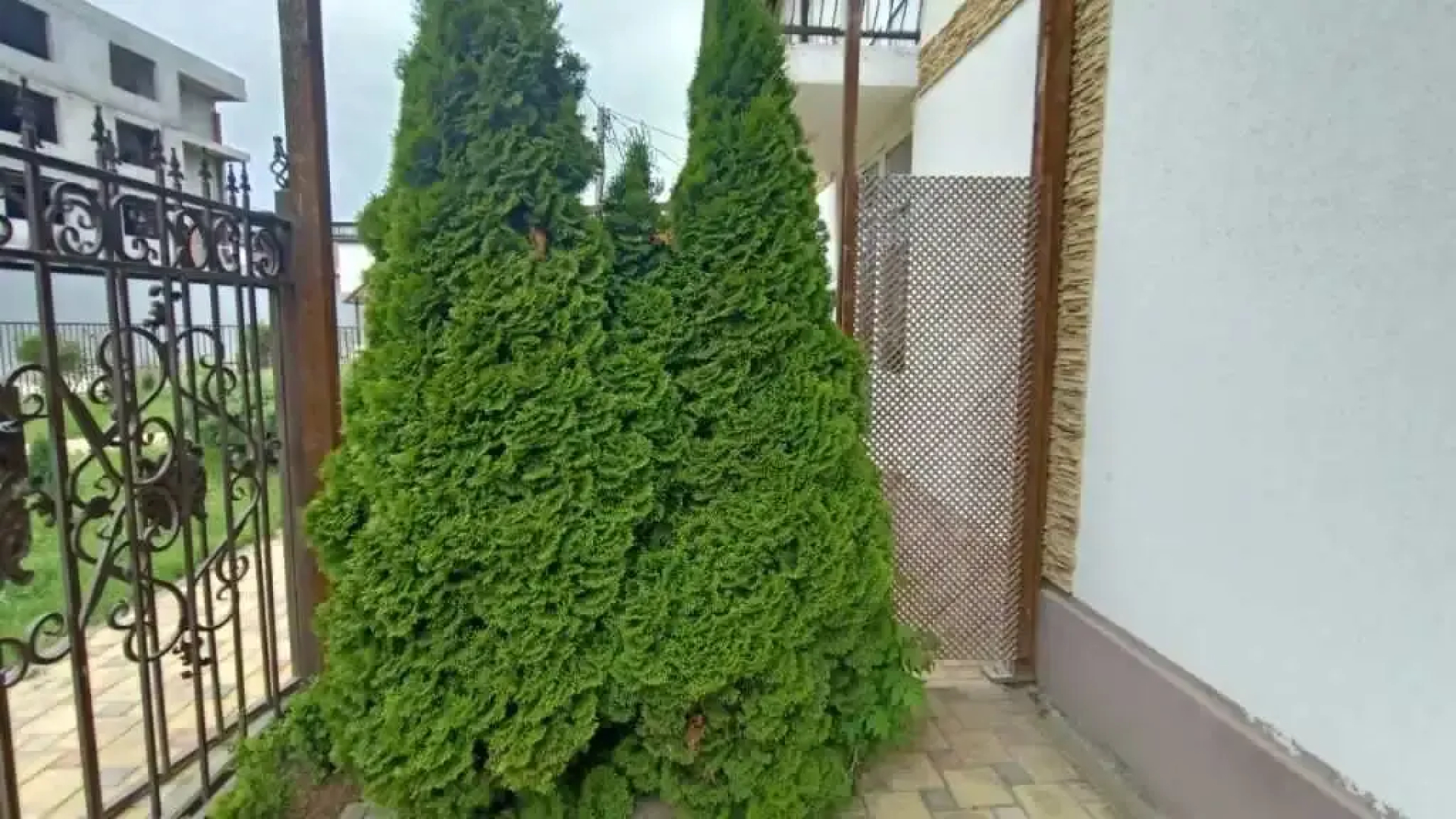 Guest House Belaya Zhemchuzhina