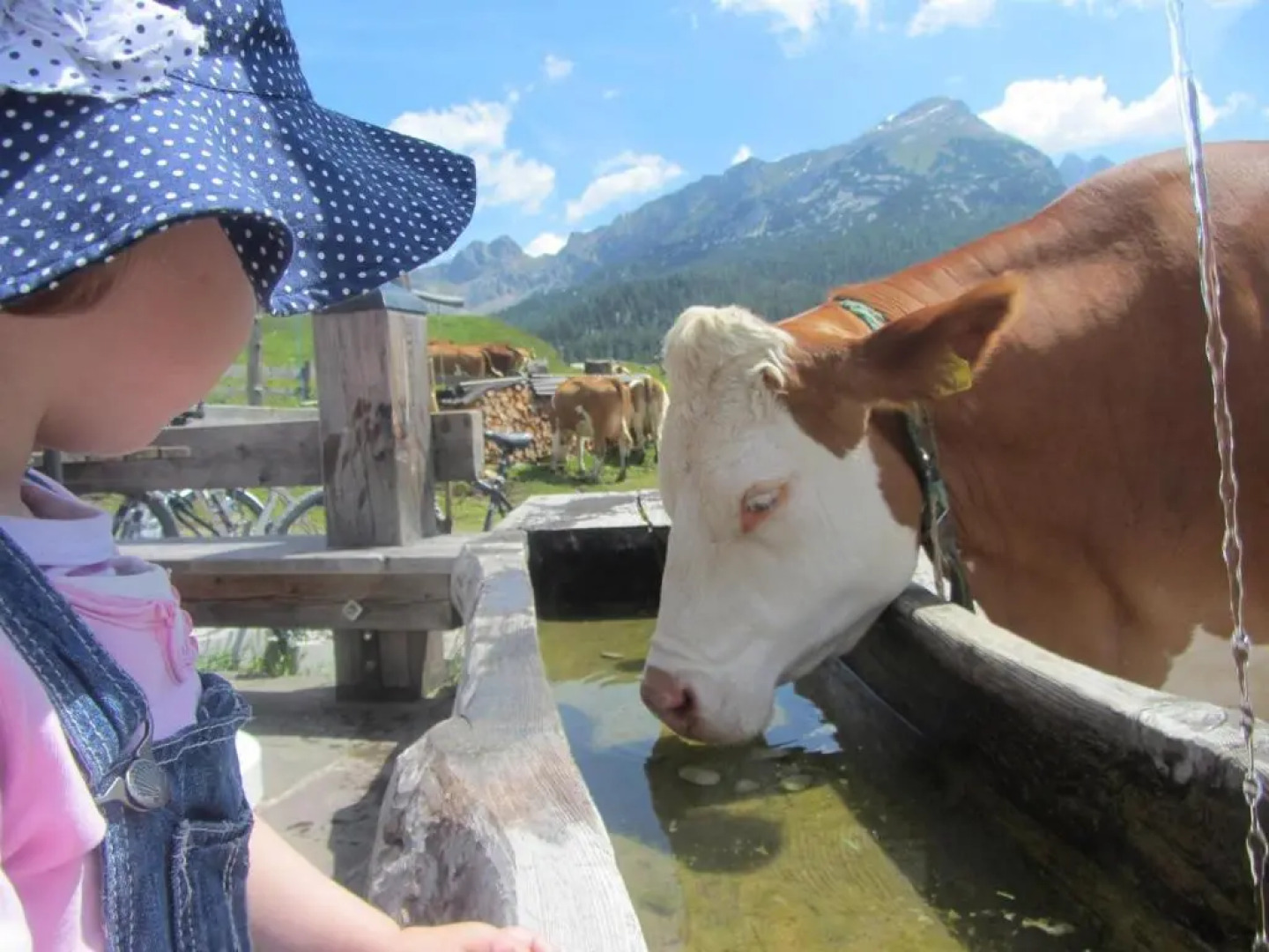 Ferienwohnung Resi im Zentrum