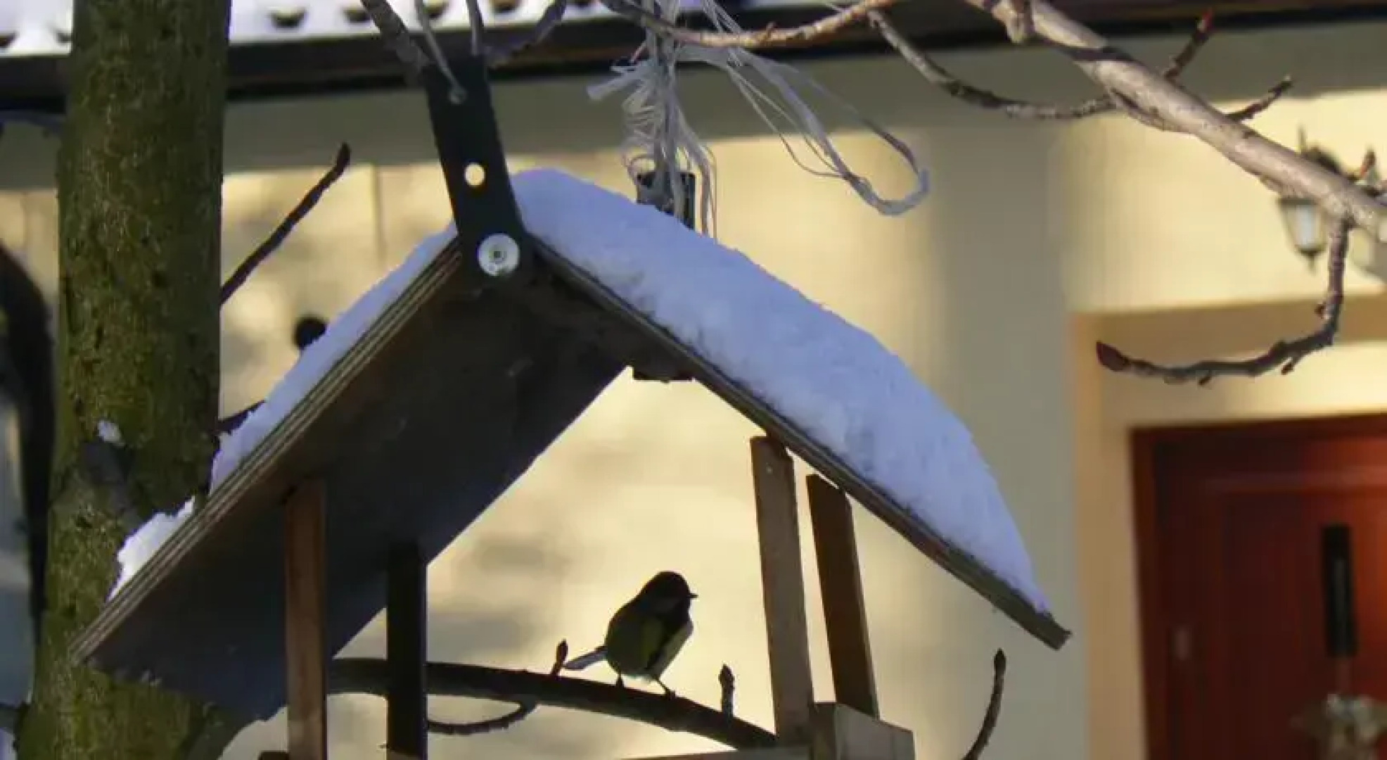 Pod Gadającym Kotem