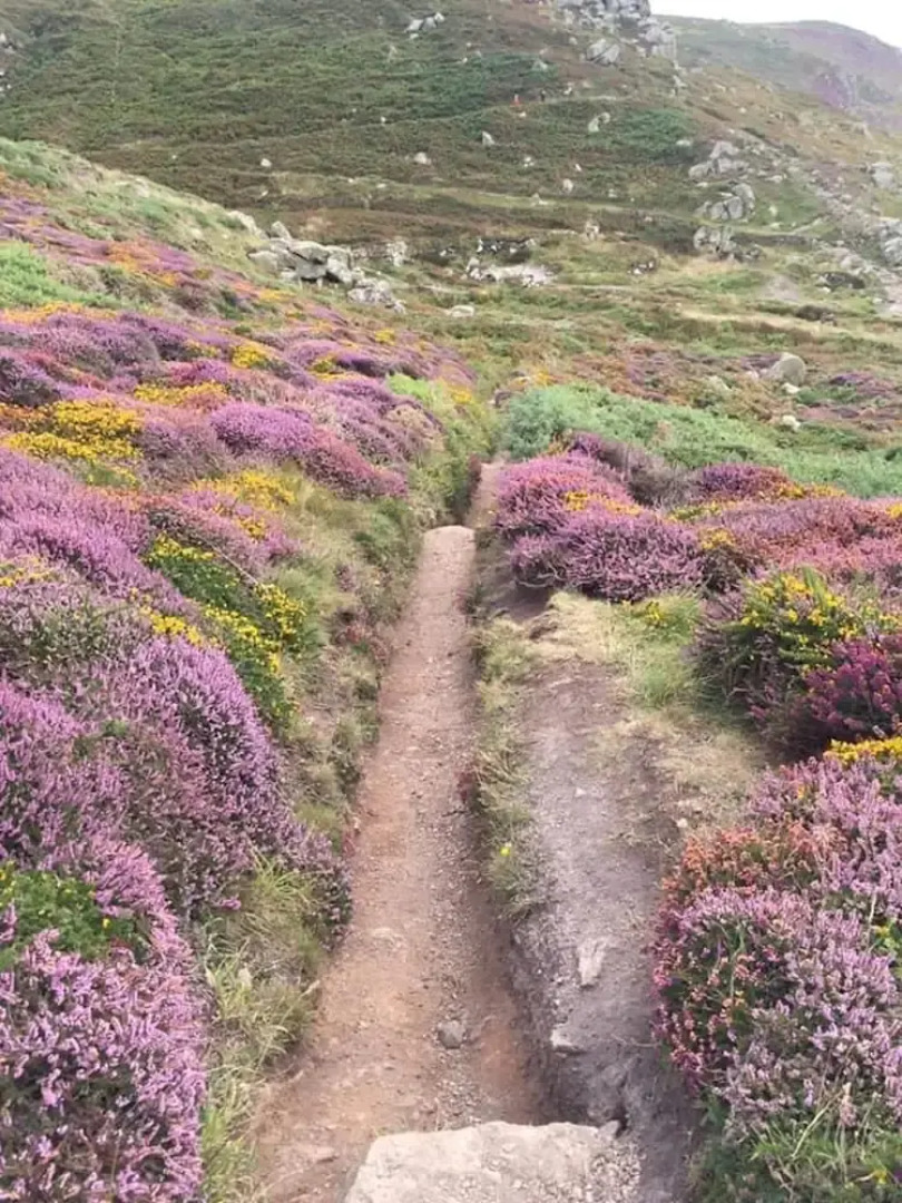 Cosy Shepherds Hut nr Kynance Cove