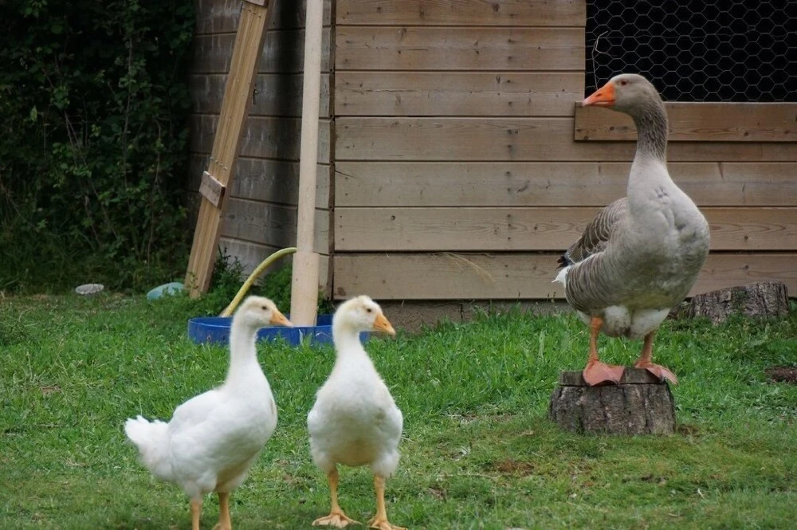 Le Domaine du Vigneau