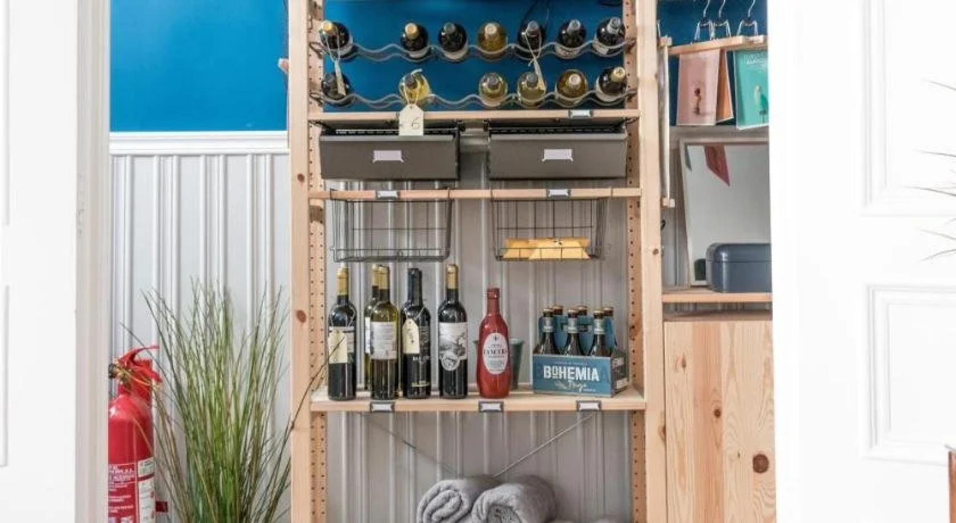 Procyon Boutique & Suites