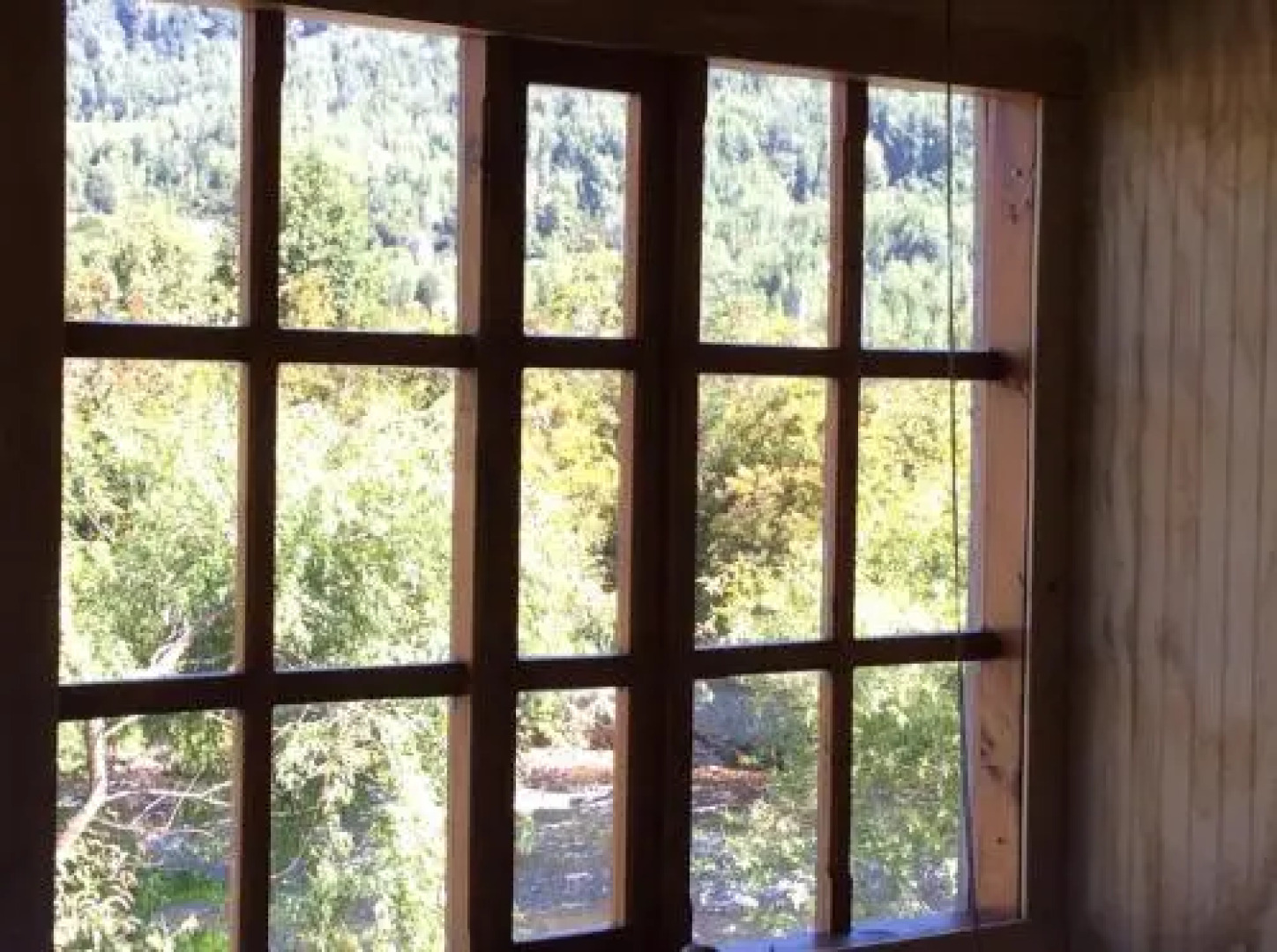 Los Mañíos Del Queulat