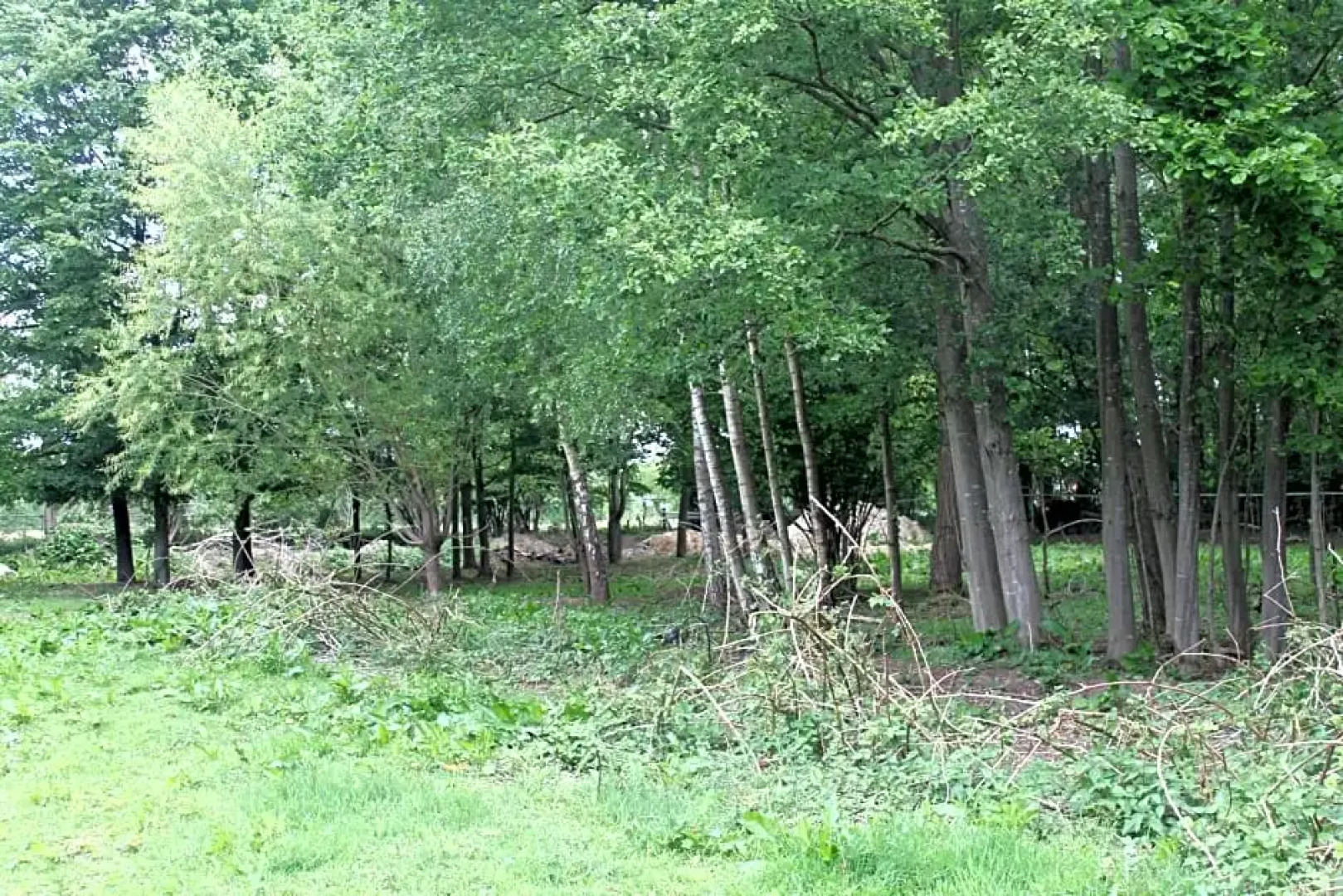 Gastenverblijf Peppelmate