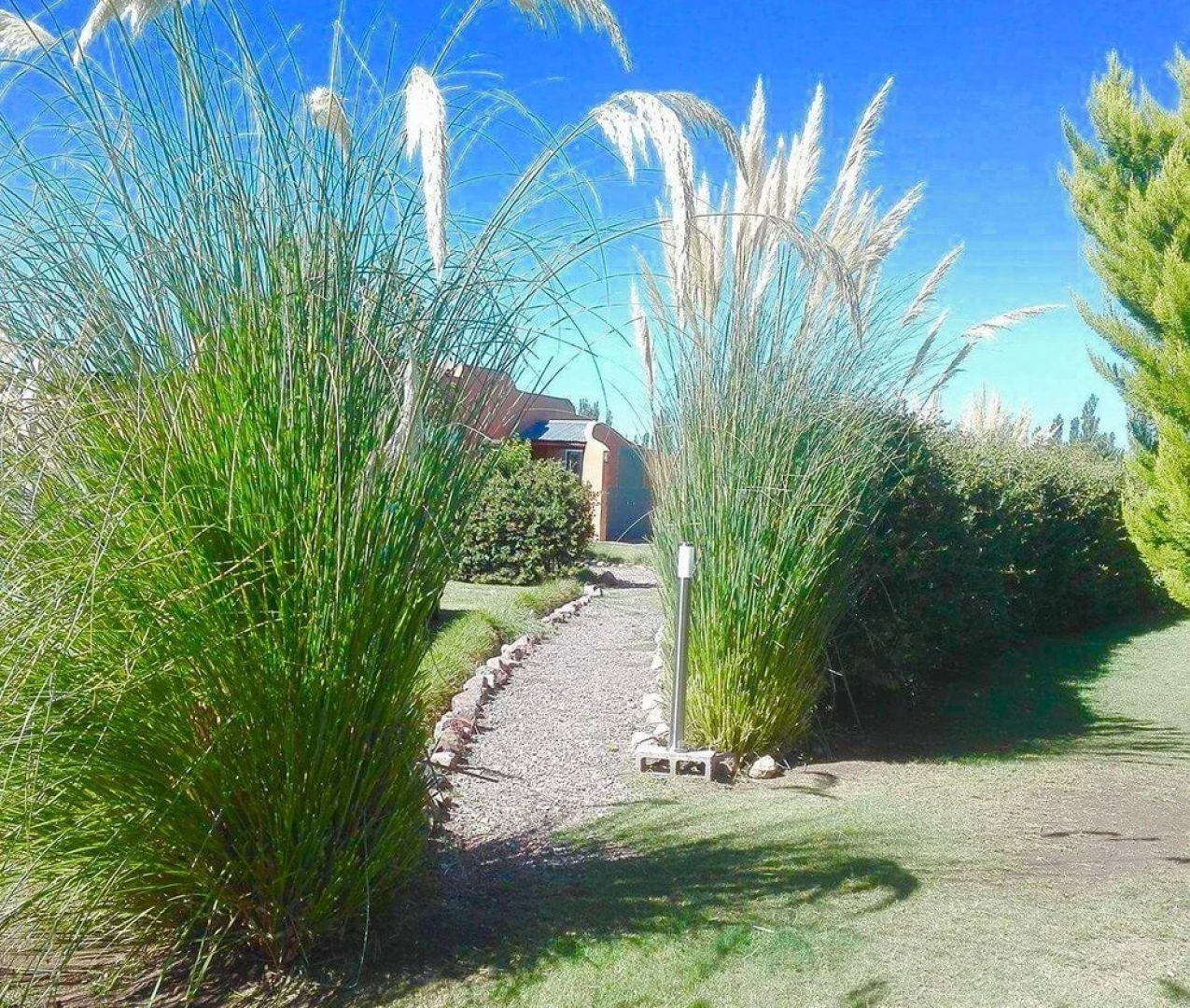 Establecimiento Rural El Chañar