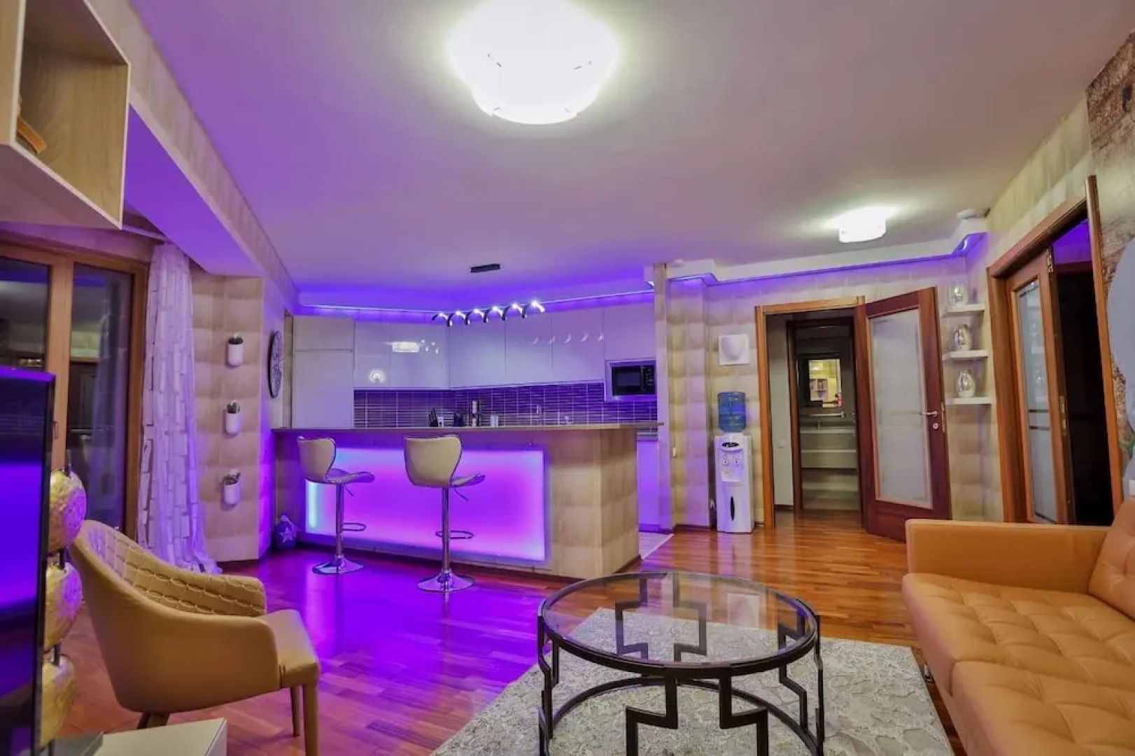 Wild Orchids of Bucharest