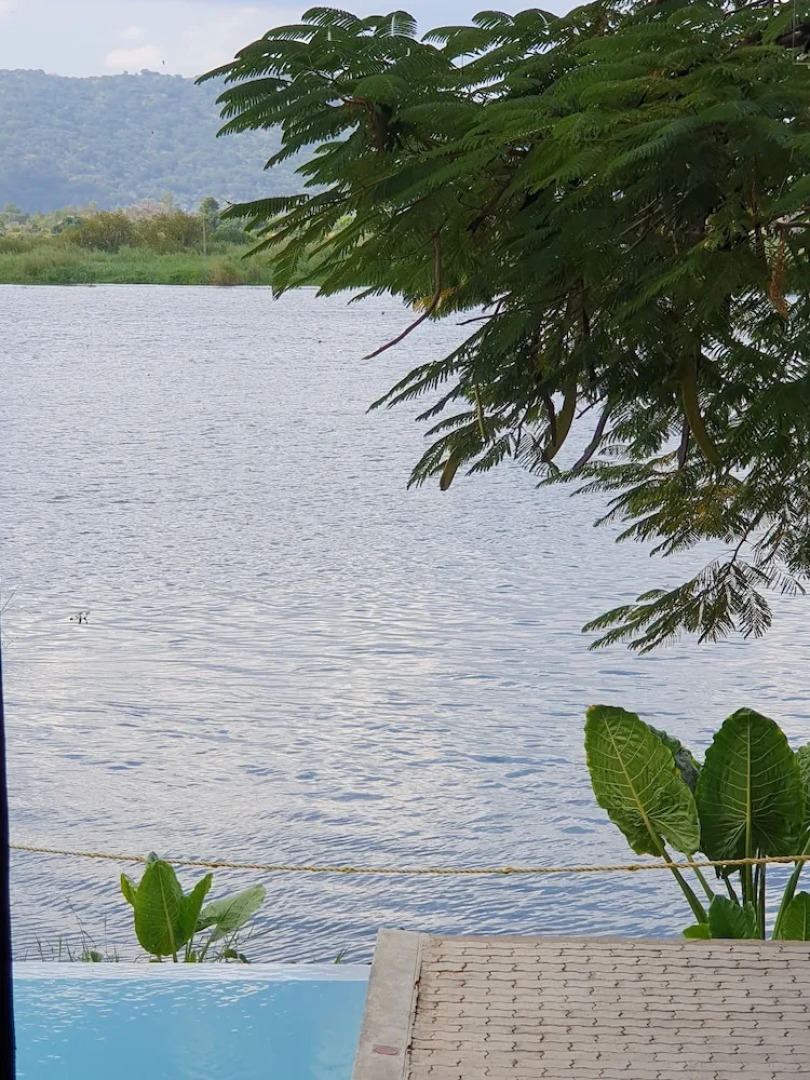 Waters Edge By Serendib