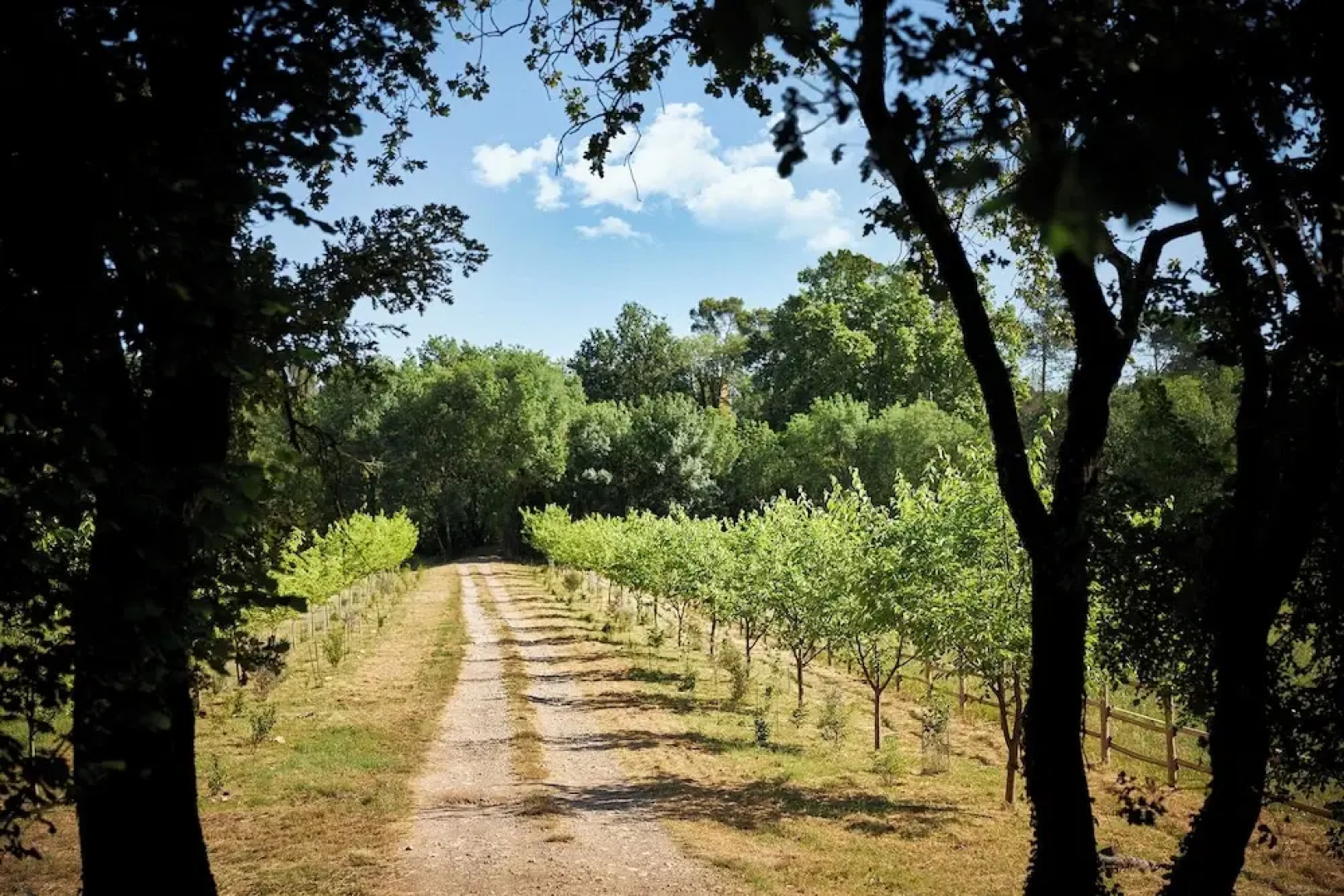 Ferme Saint-Georges en Provence