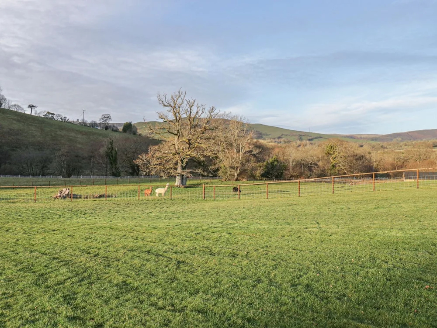 The Paddock, Llanbrynmair