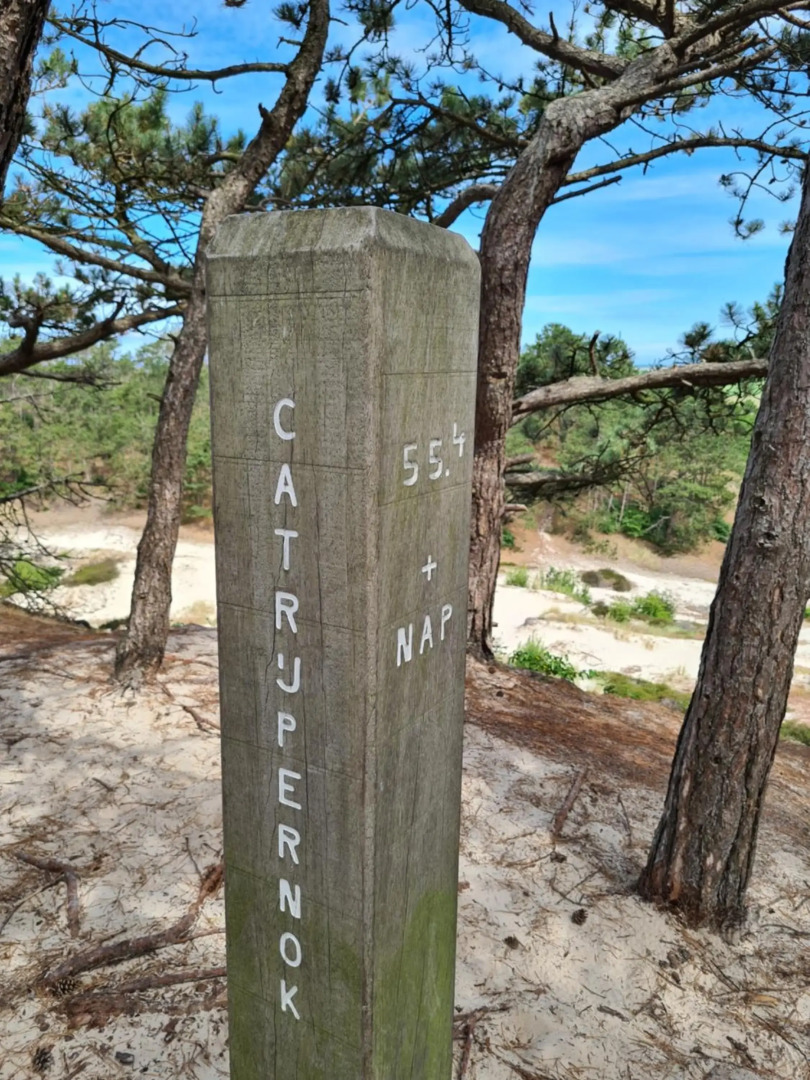 The Forester Schoorl