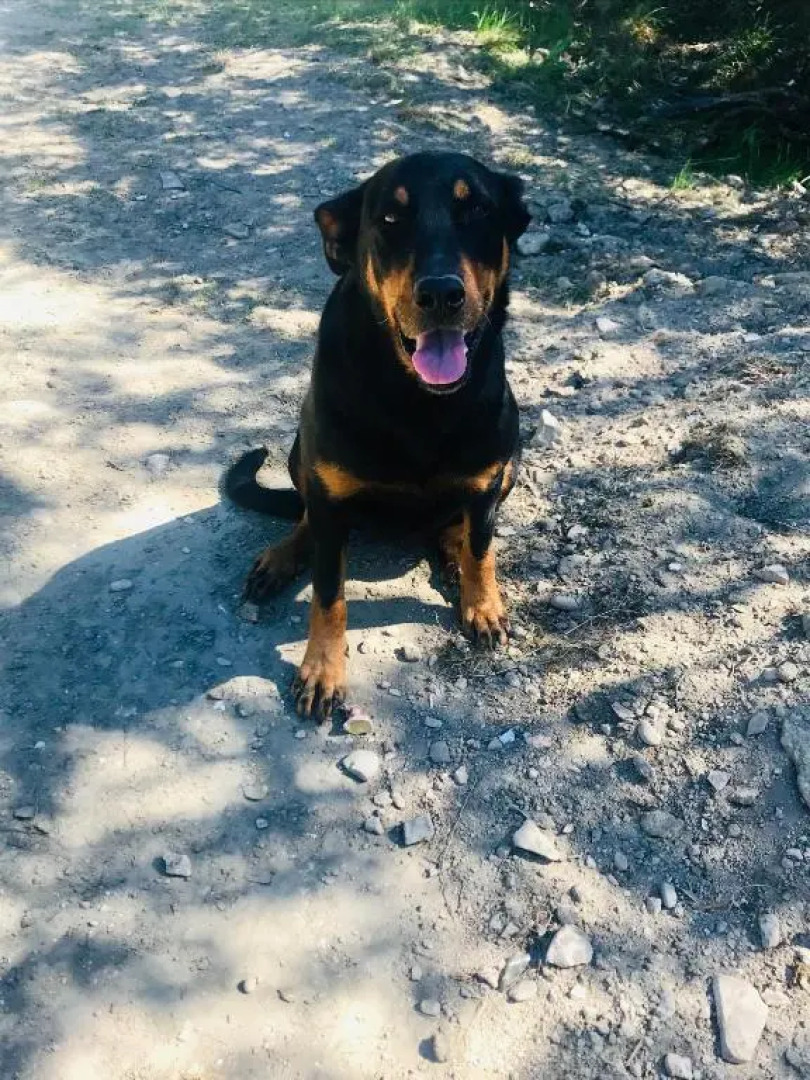 petit chalet insolite "vie en plein air" Bastide Bellugue maison d'hôtes reseau Bienvenue à la ferme à 3 mn de lourmarin