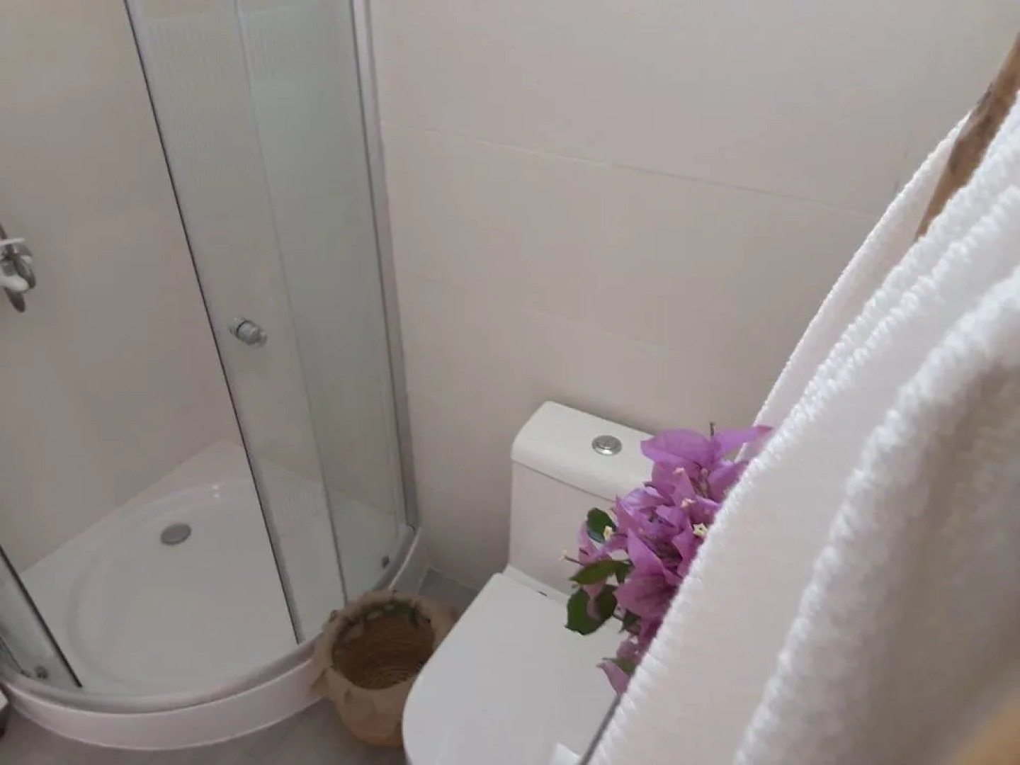 Villa Rosa Dominicus