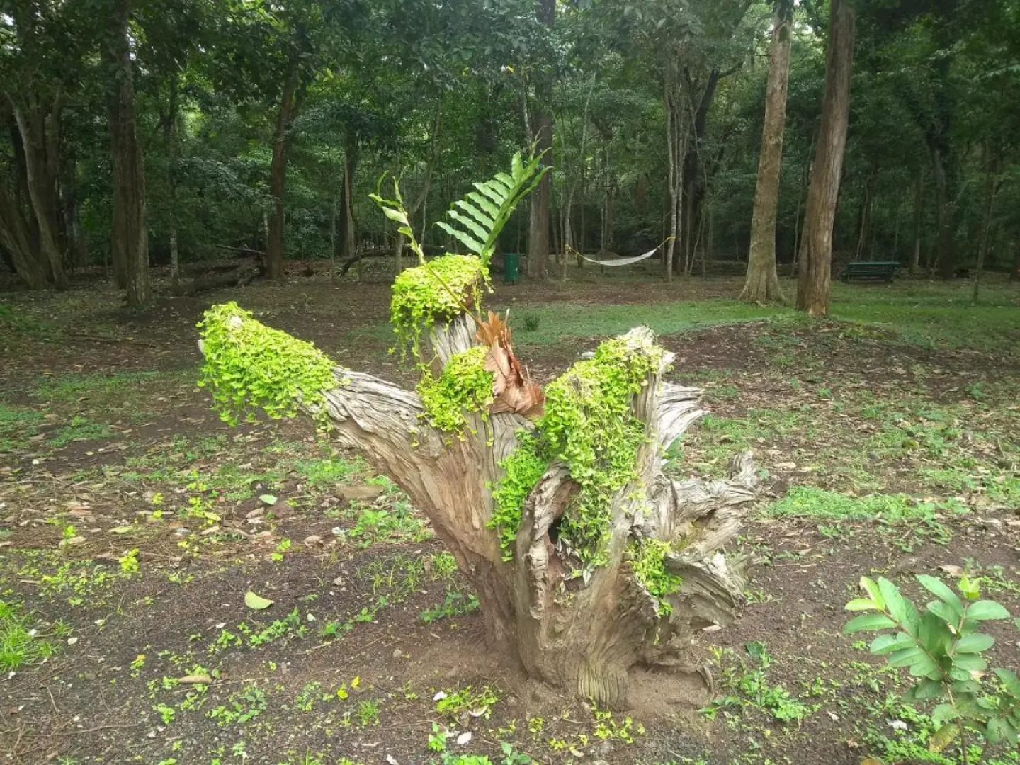 KTDC Periyar House Thekkady