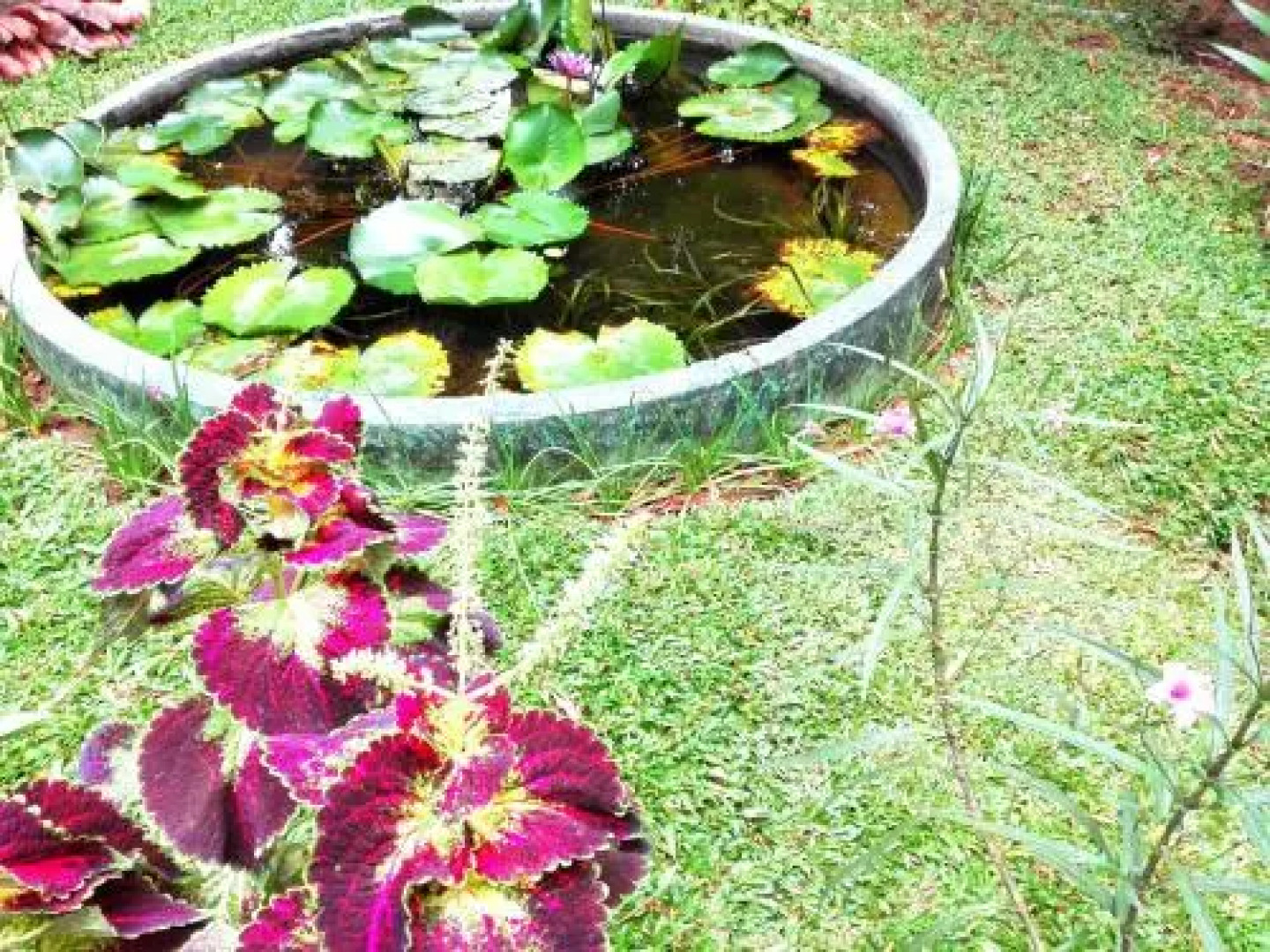 Ruins View Holiday Resort