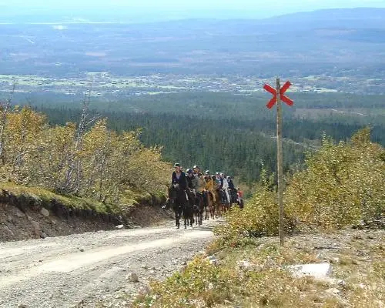 Skalshöjden Vemdalsskalet