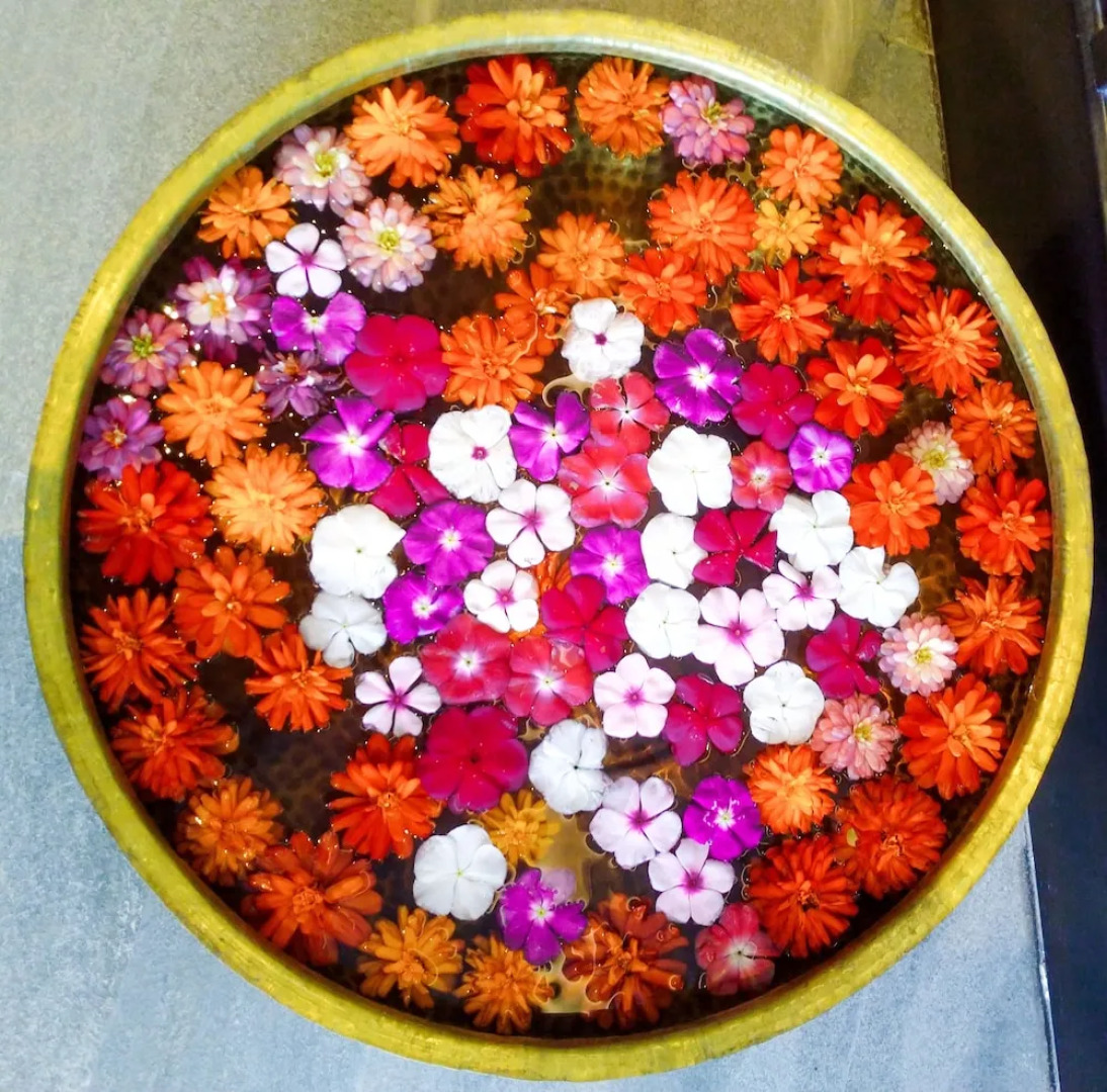 Welcomhotel by ITC Hotels, Katra