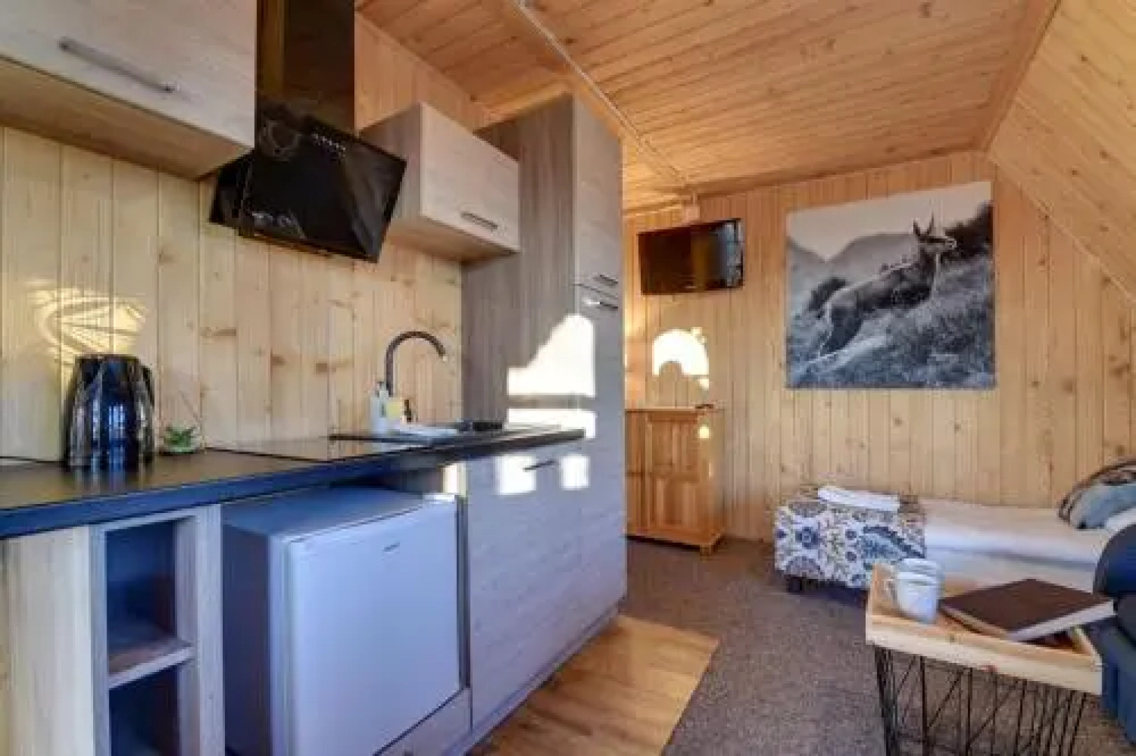 Orla Village Bukowina