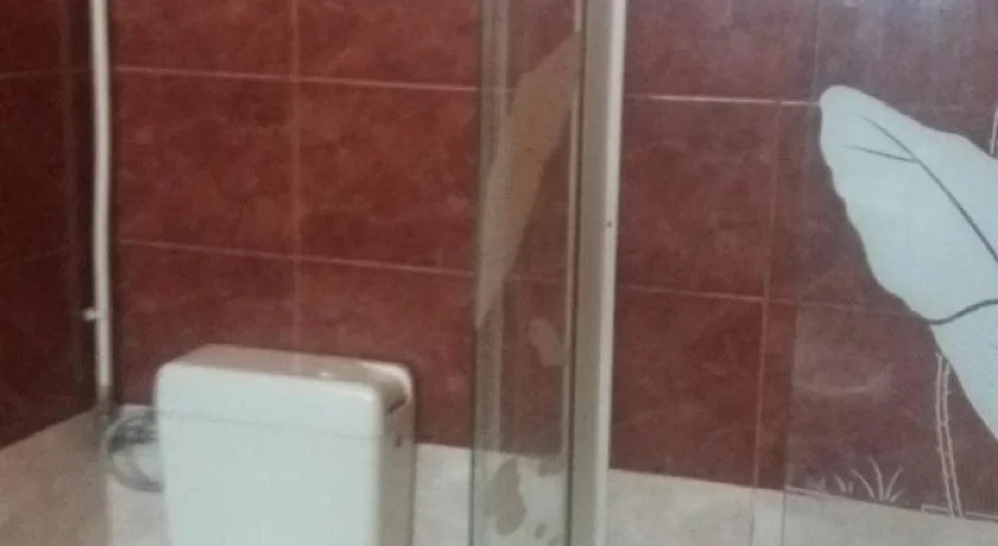 Pensiunea Nicol Tulcea