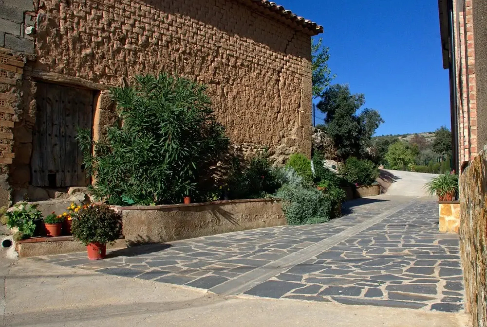 casa oliva la bodegueta