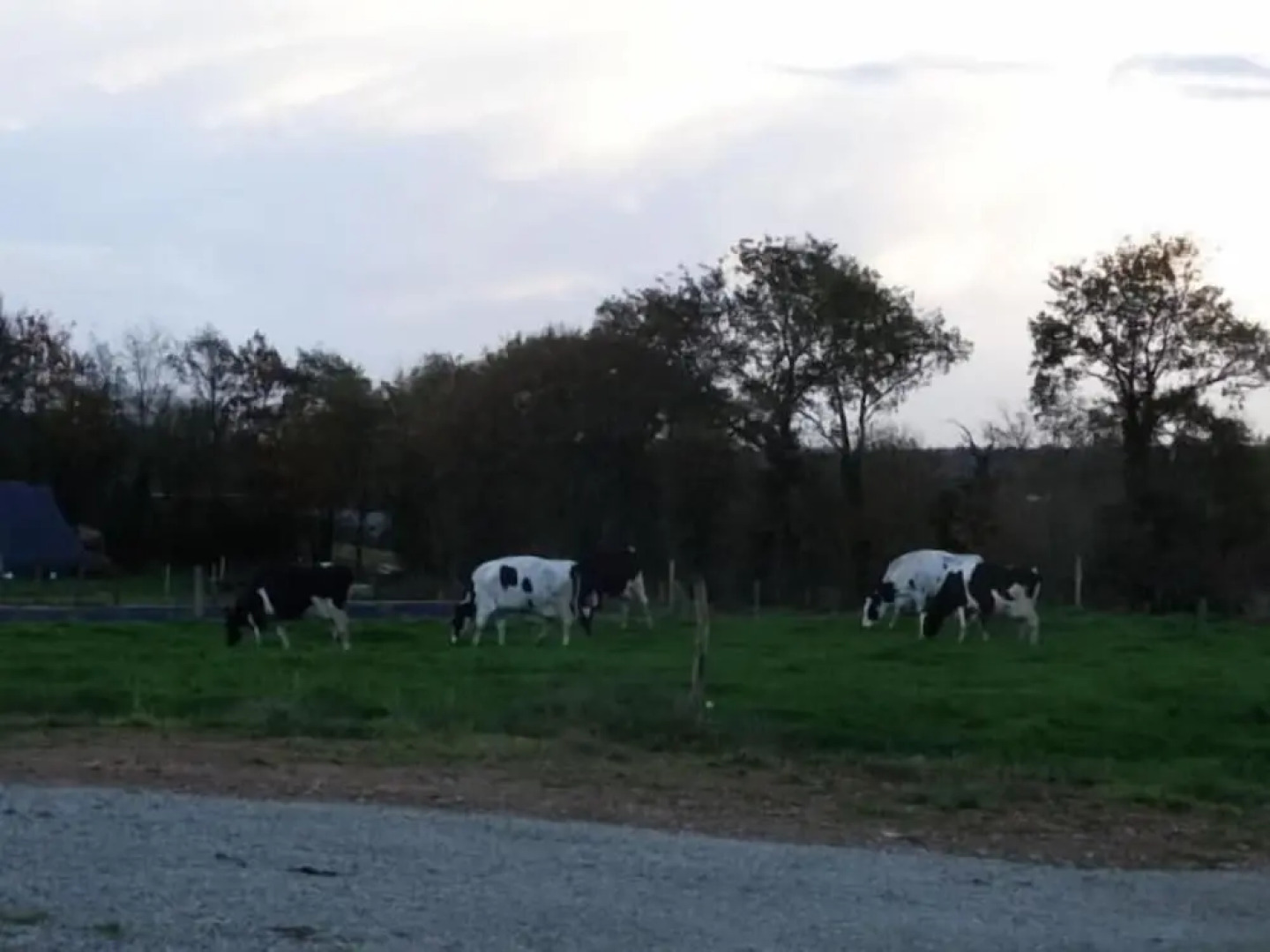 Chambres d'Hôtes le Moulin du Couedic