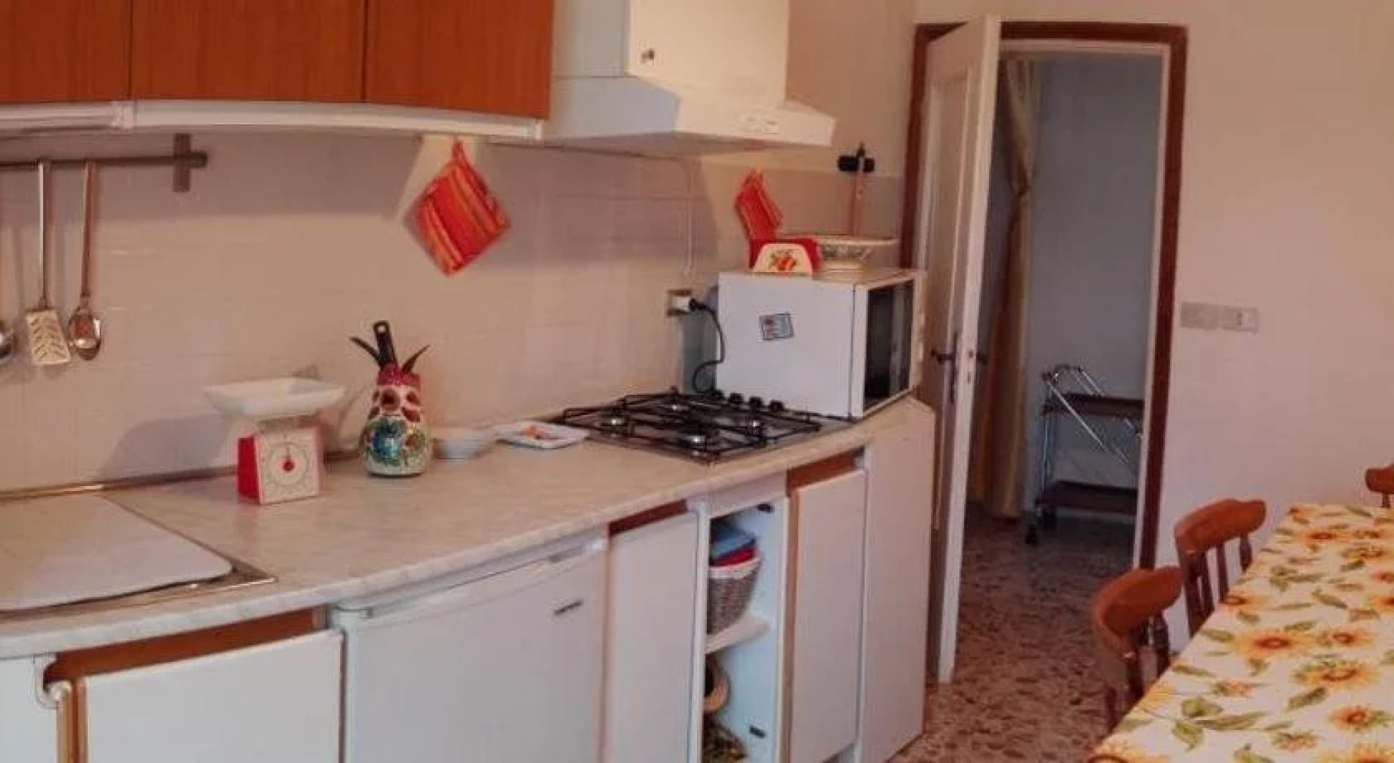 Conte Antonio da Montecopiolo