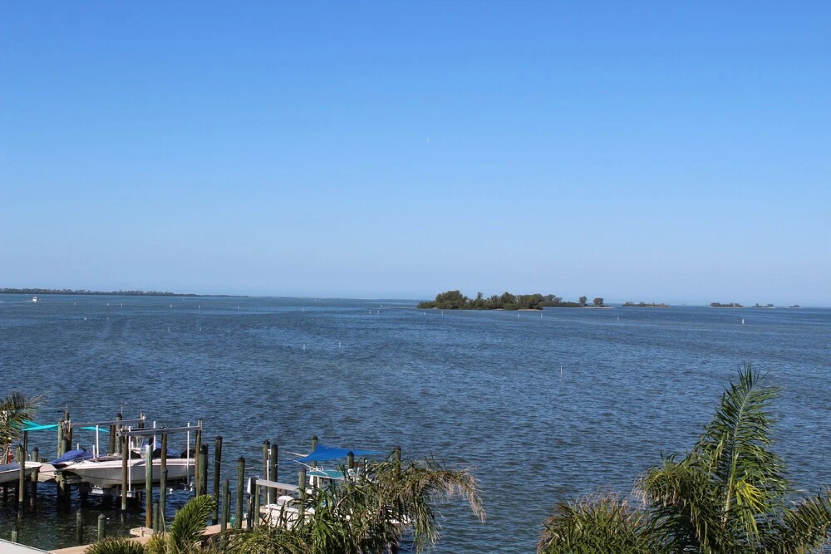 Bird of Paradise at Coconut Villas of Dunedin- Two Bedroom Condo