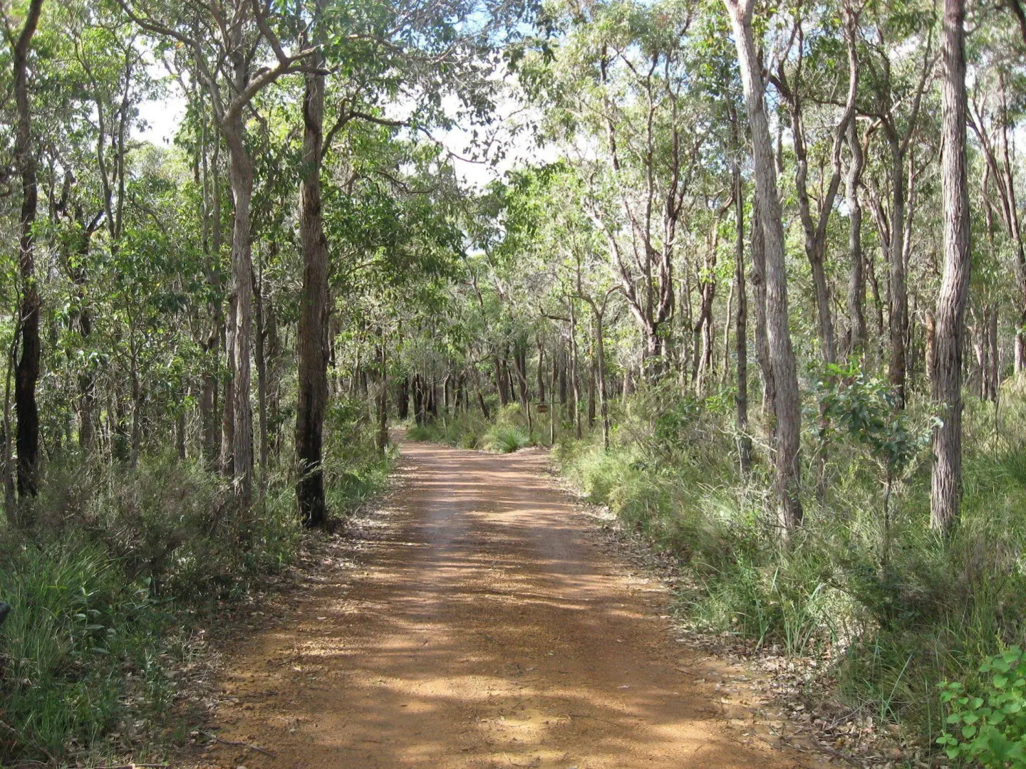 Denmark Forest Retreat