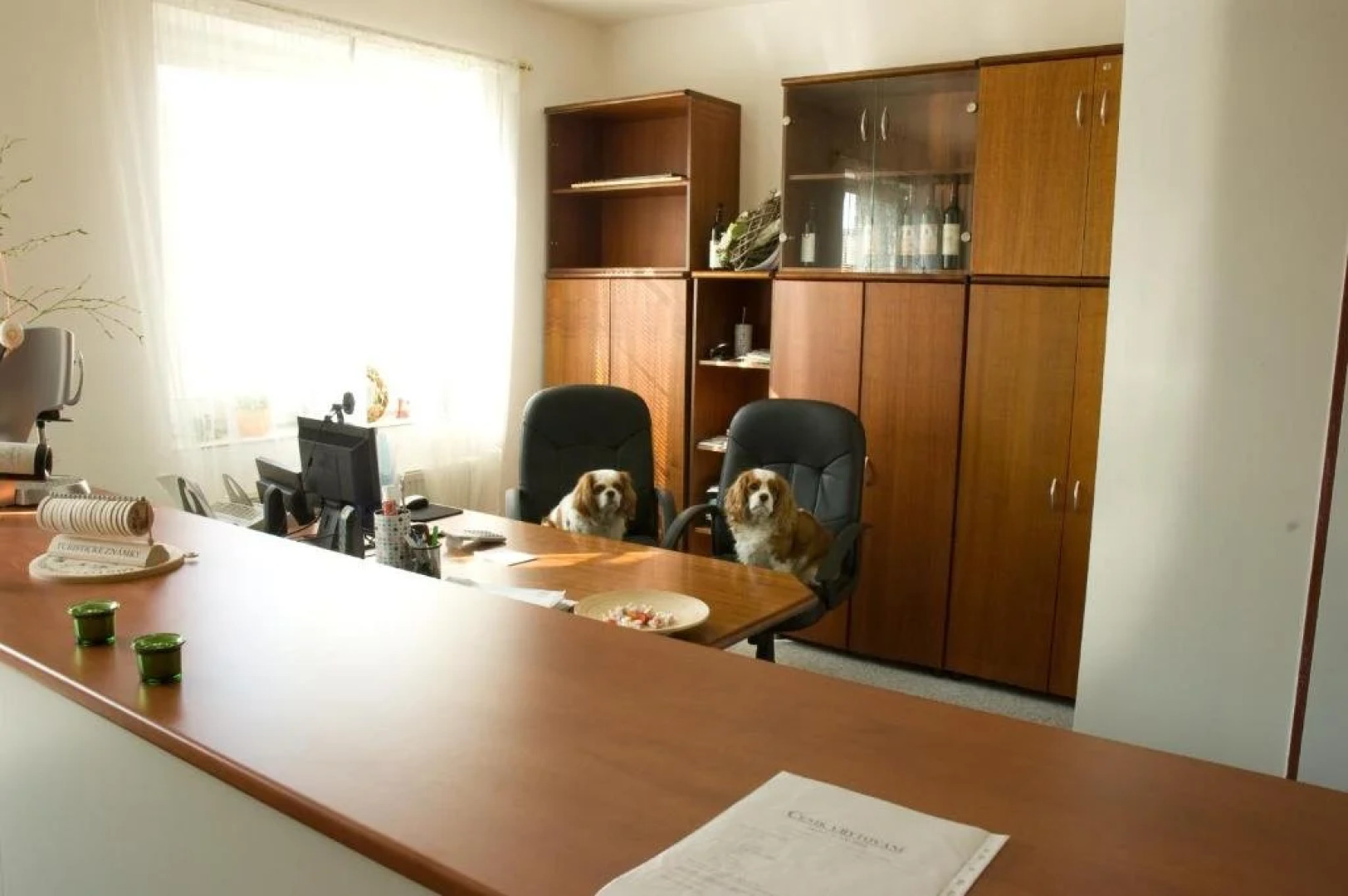 Ubytování Hana Krcmárová