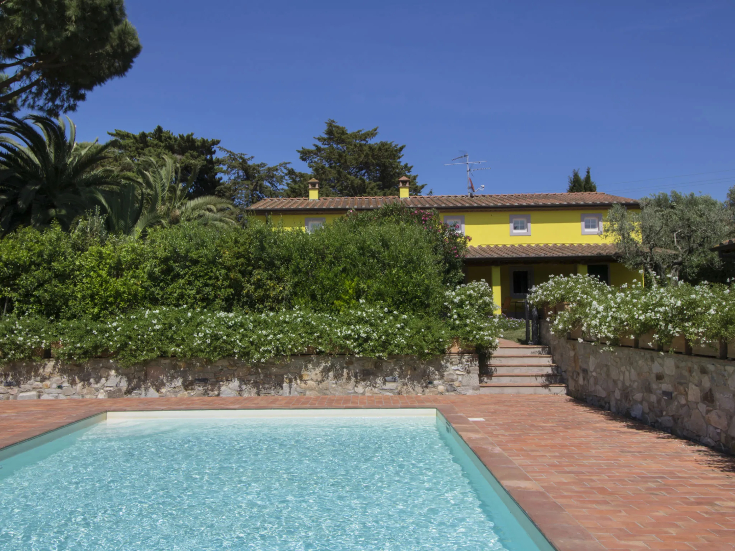 Locazione turistica Villa il Pellicano