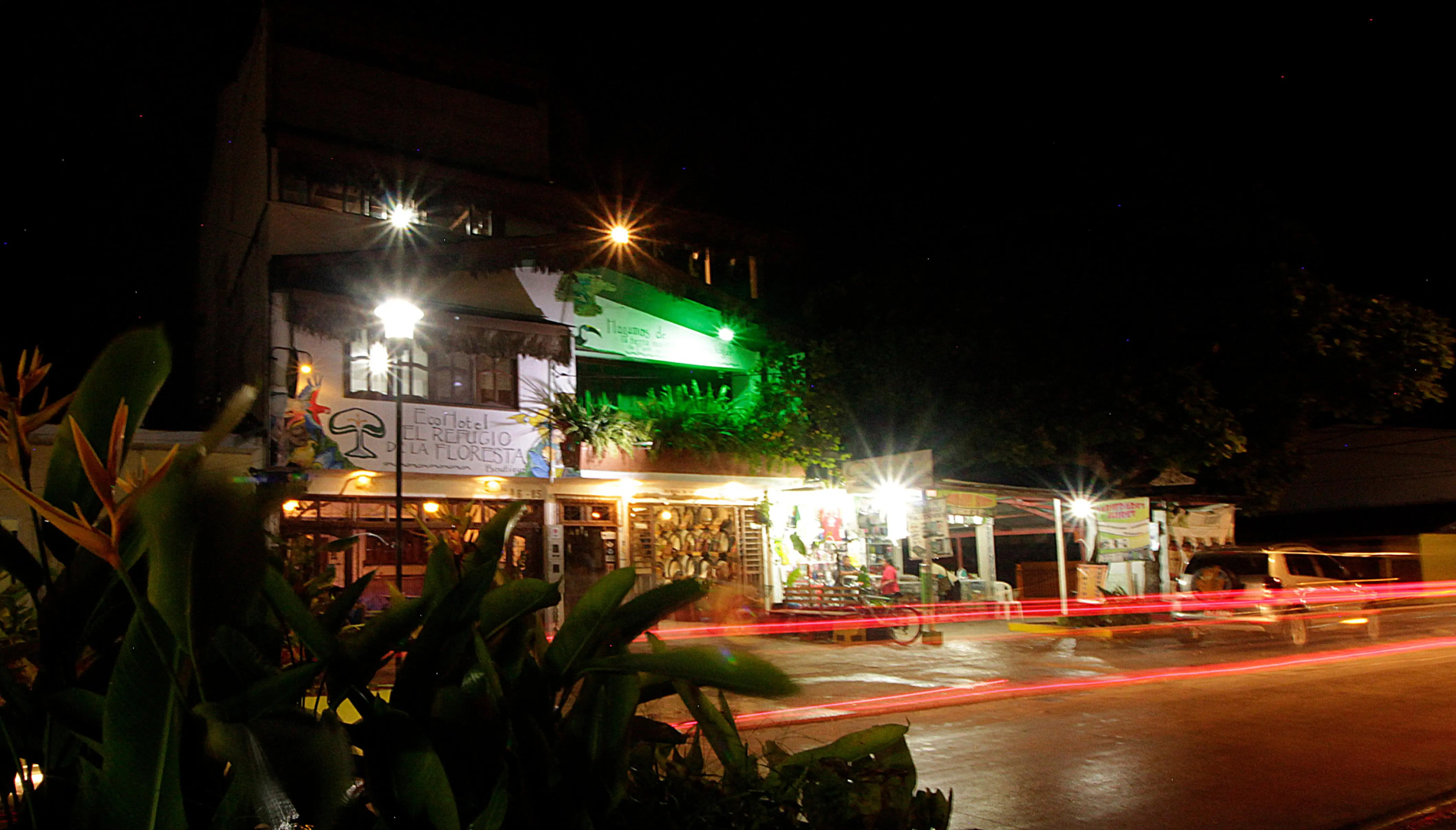 Eco hotel the refuge of the forest