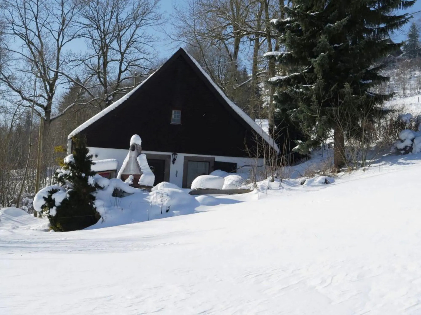 Ferienhaus, Schwarzwald