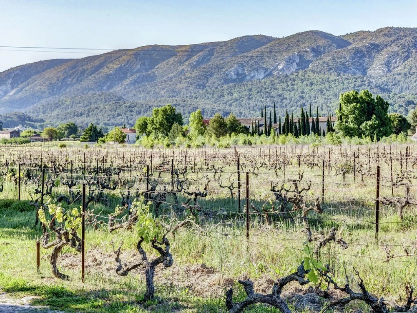Rustic Cottage in Oppede With Shared Pool