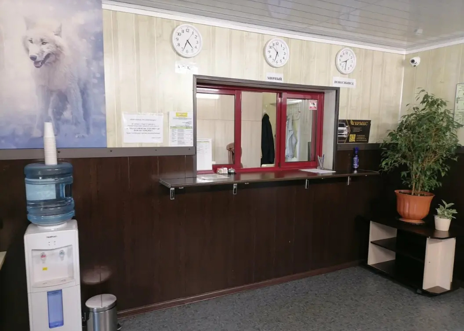 Полярная сова