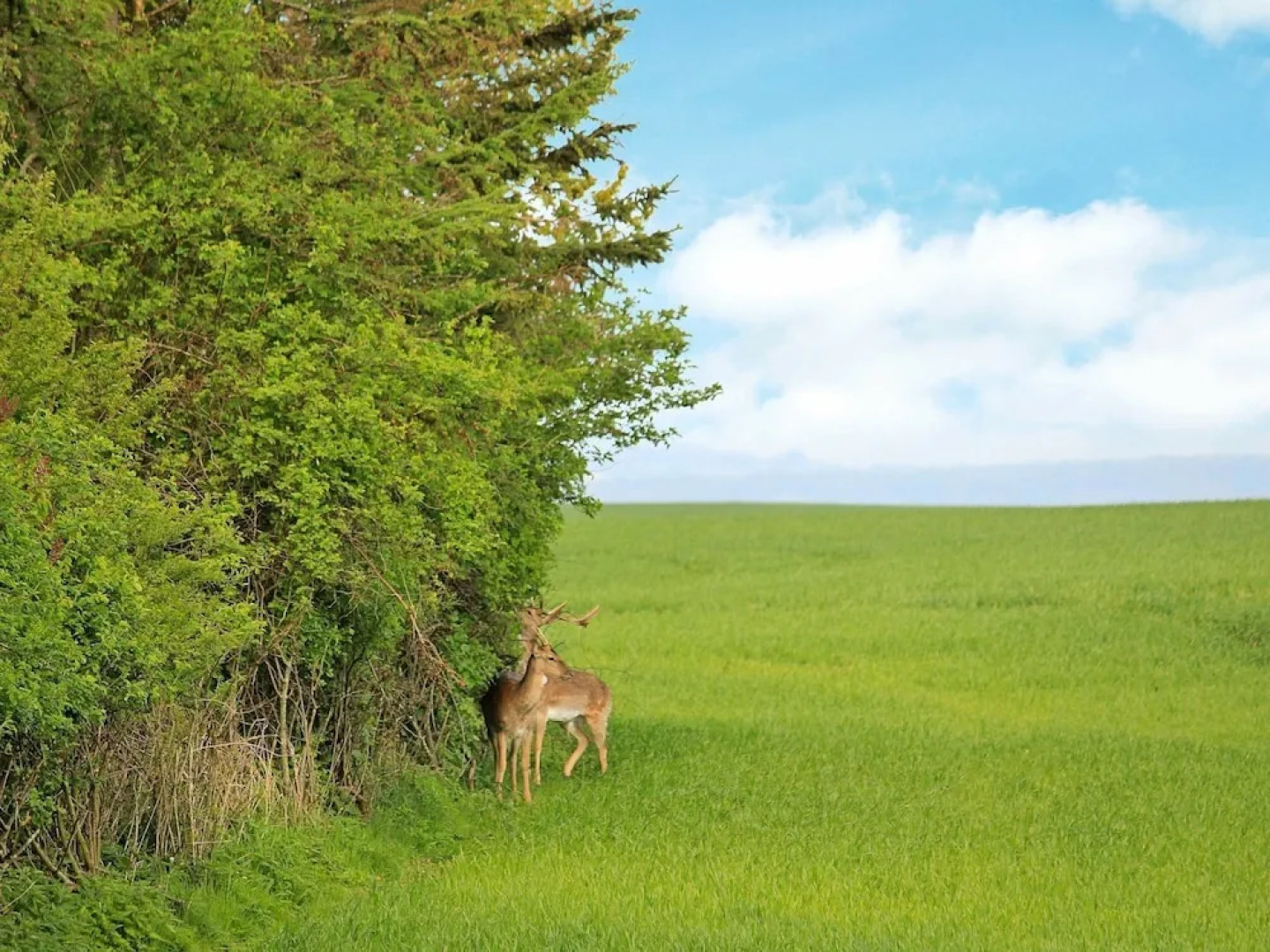 Amazing Holiday Home in Tranekã¦r With Swimming Pool