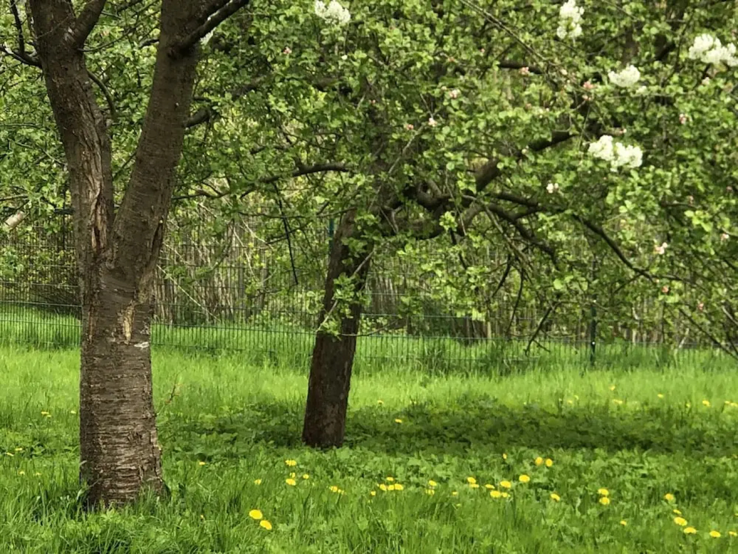 Flat in Eutin on the Kleiner Eutiner See Lake