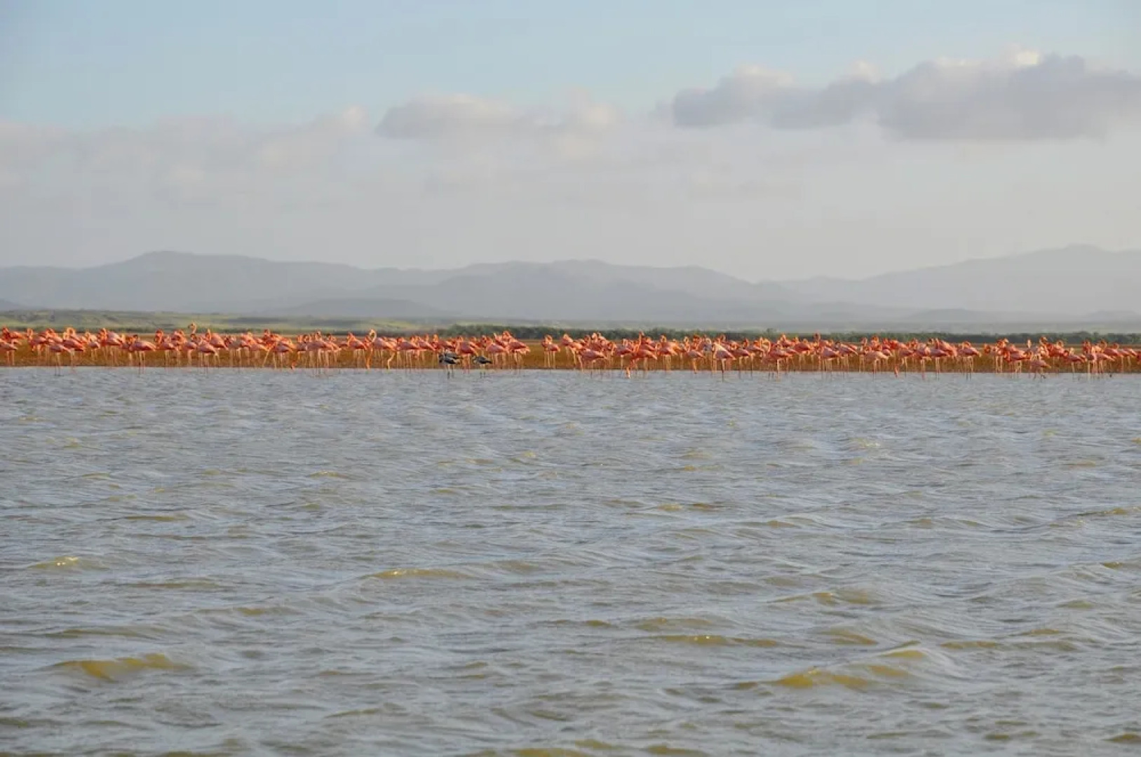 Bona Vida Hostel la Quinta