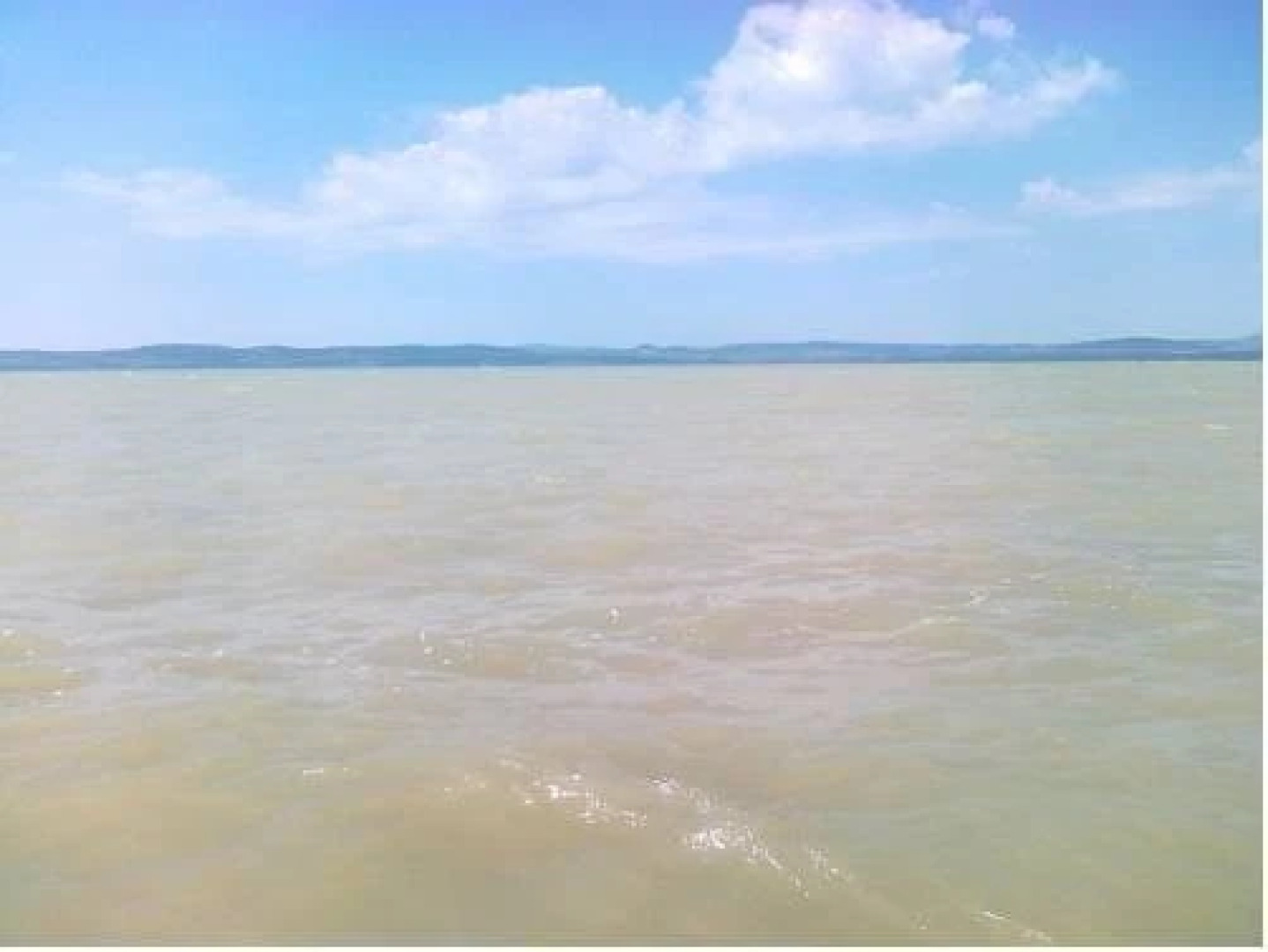 Sunflower Apartmanok