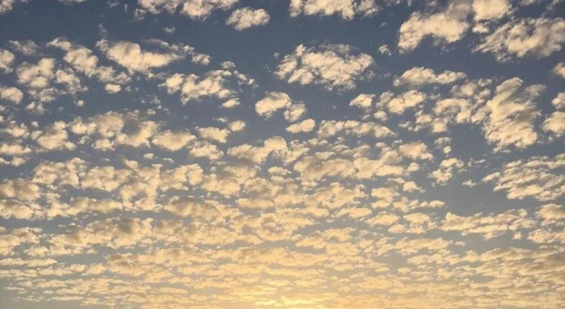 The Way Hostel & Bar