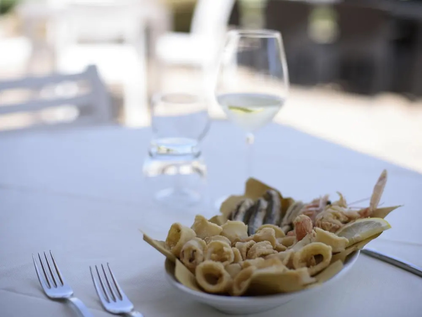 House in Residence With Swimming Pool, Near the Sea