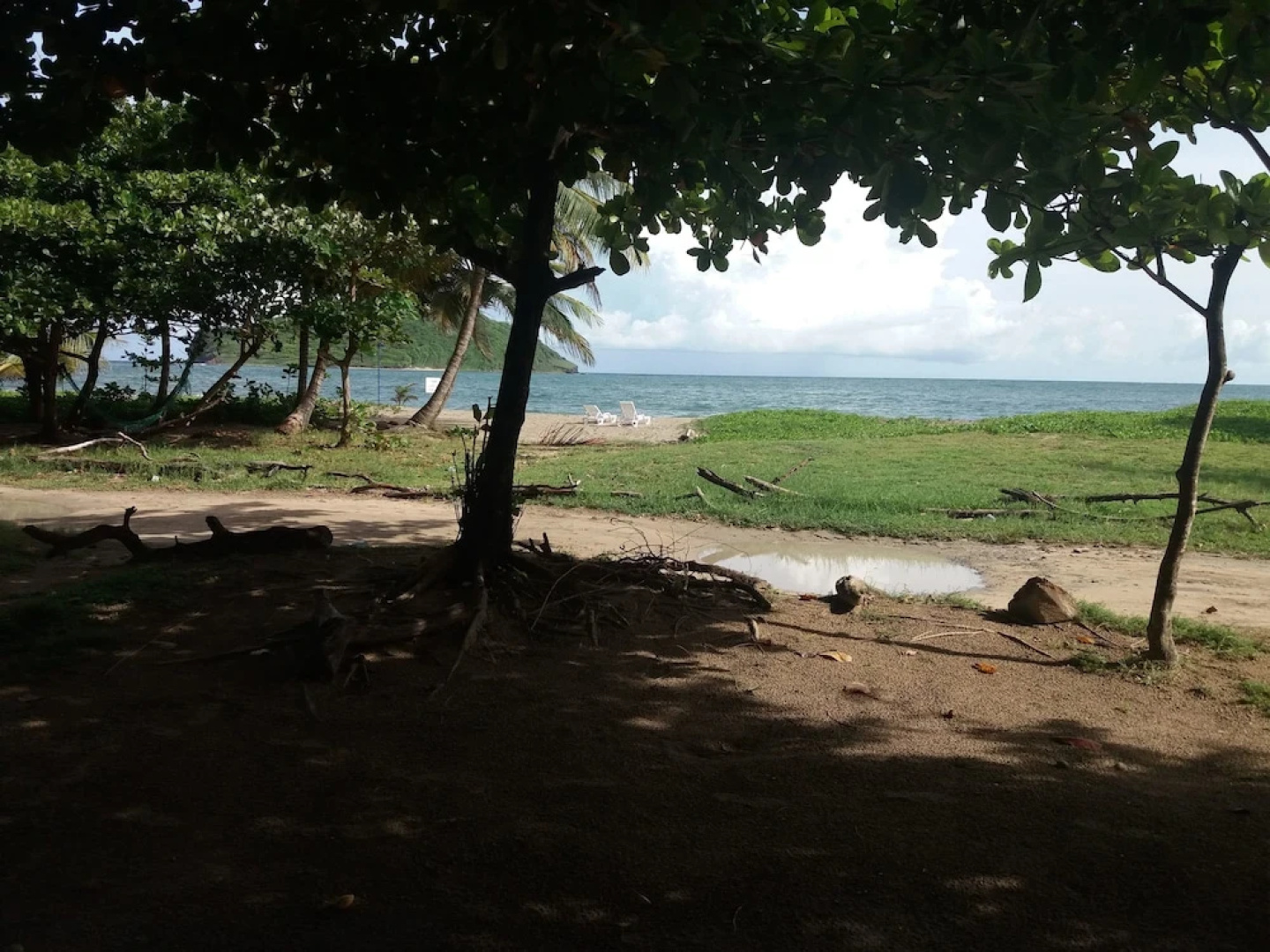 The Reef Beach Huts