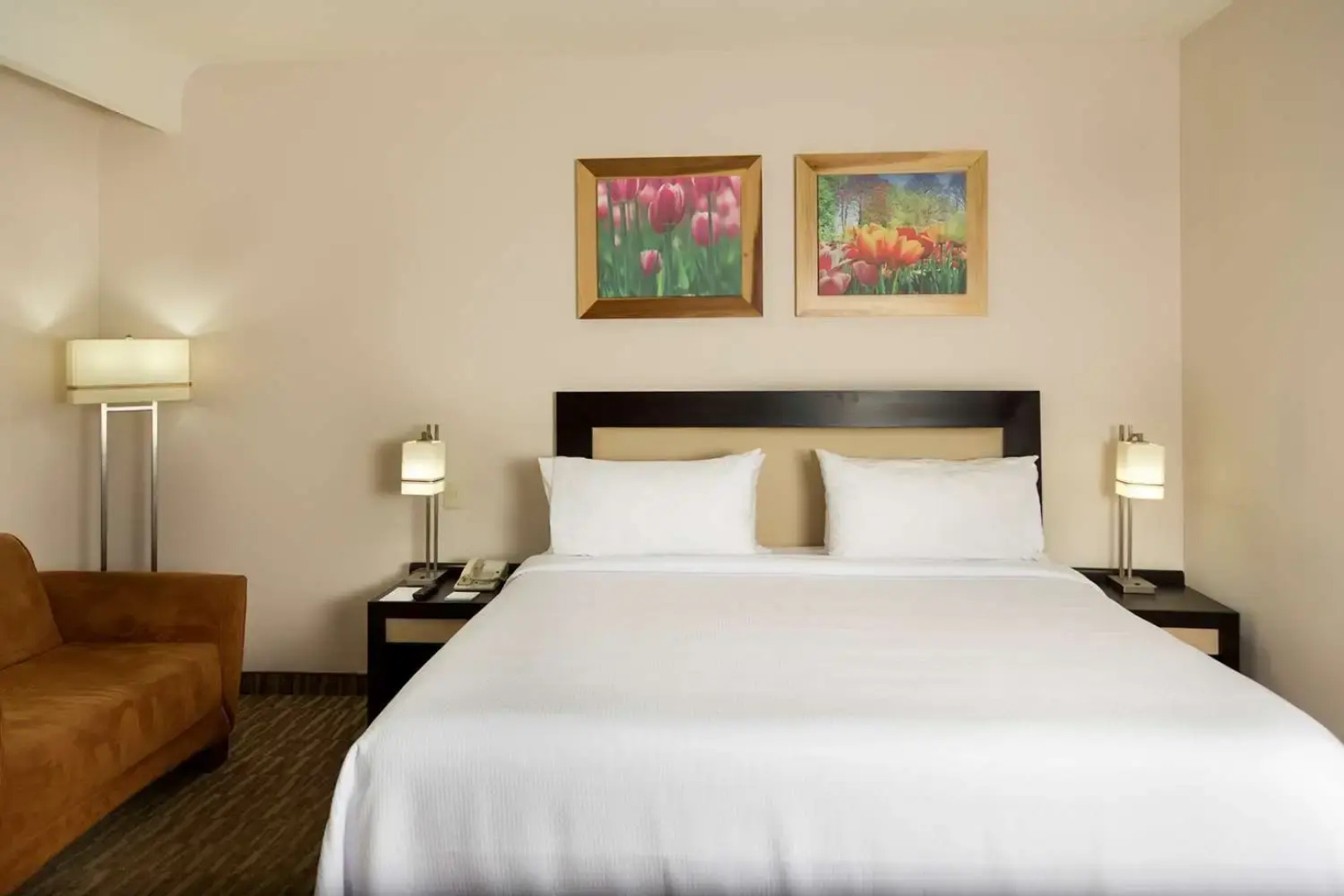 Excellence Express & Suites